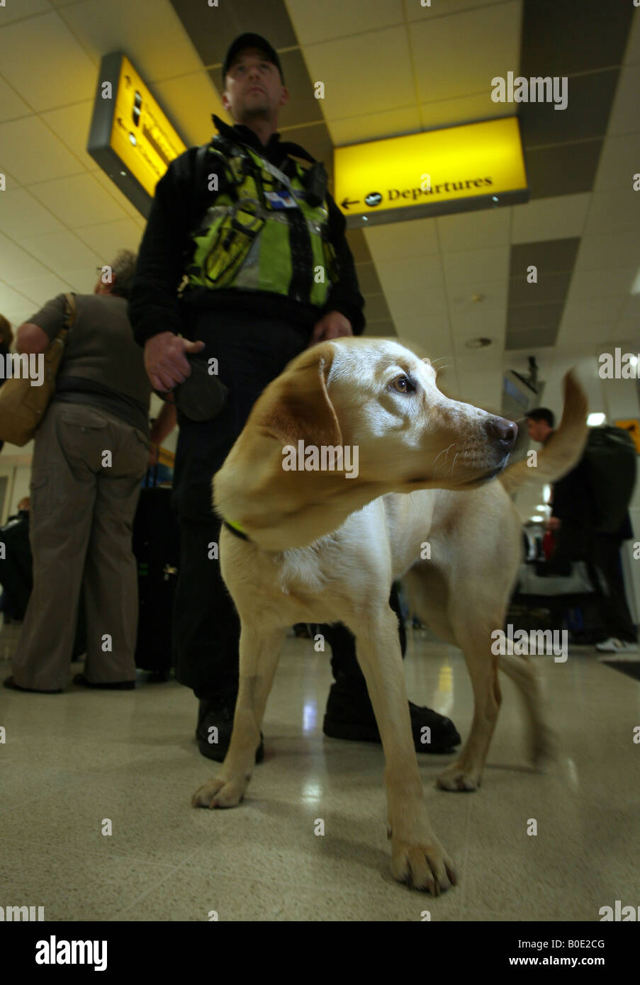 I funzionari di polizia con il farmaco sniffer cane sul dazio in aeroporto di Aberdeen, Scozia, Regno Unito Foto Stock