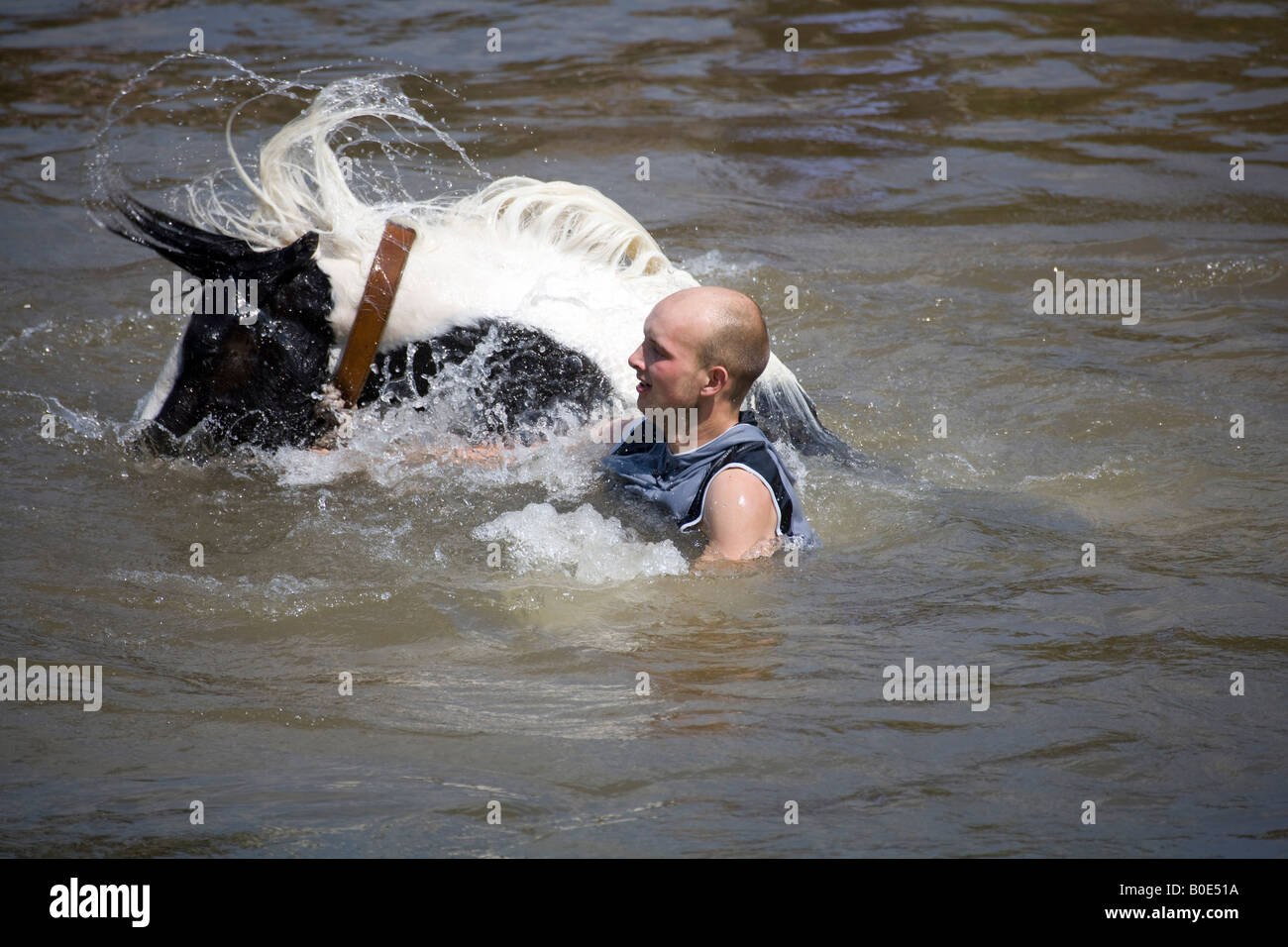 Horse annegamento Appleby Fair 2007 1 Foto Stock