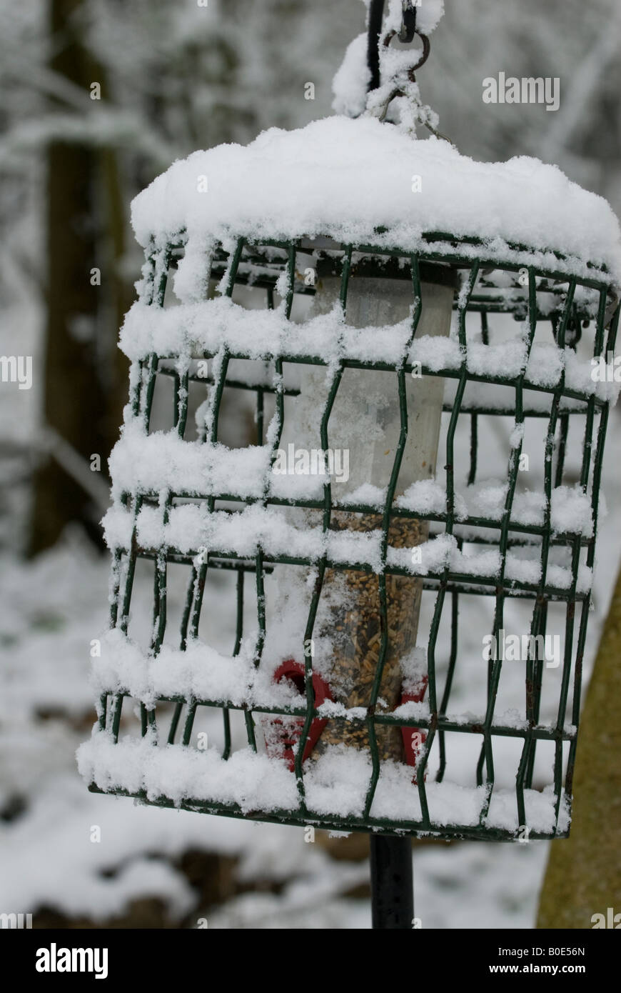 Bird Feeder con protezione scoiattolo ricoperta di neve Foto Stock