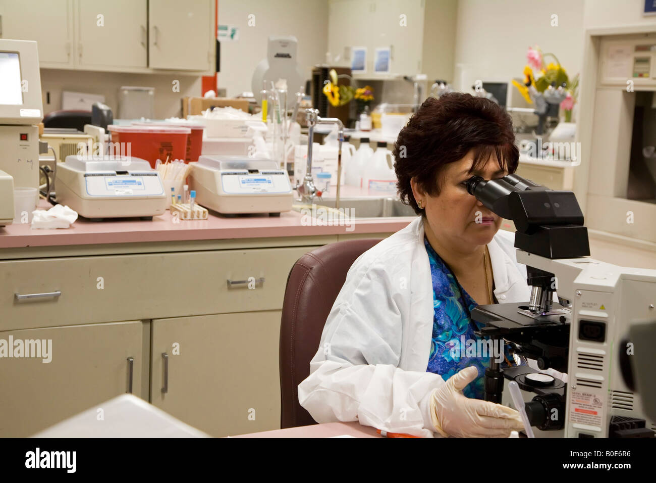 Medical technologist controlla i campioni di sangue di cellule anormali Foto Stock