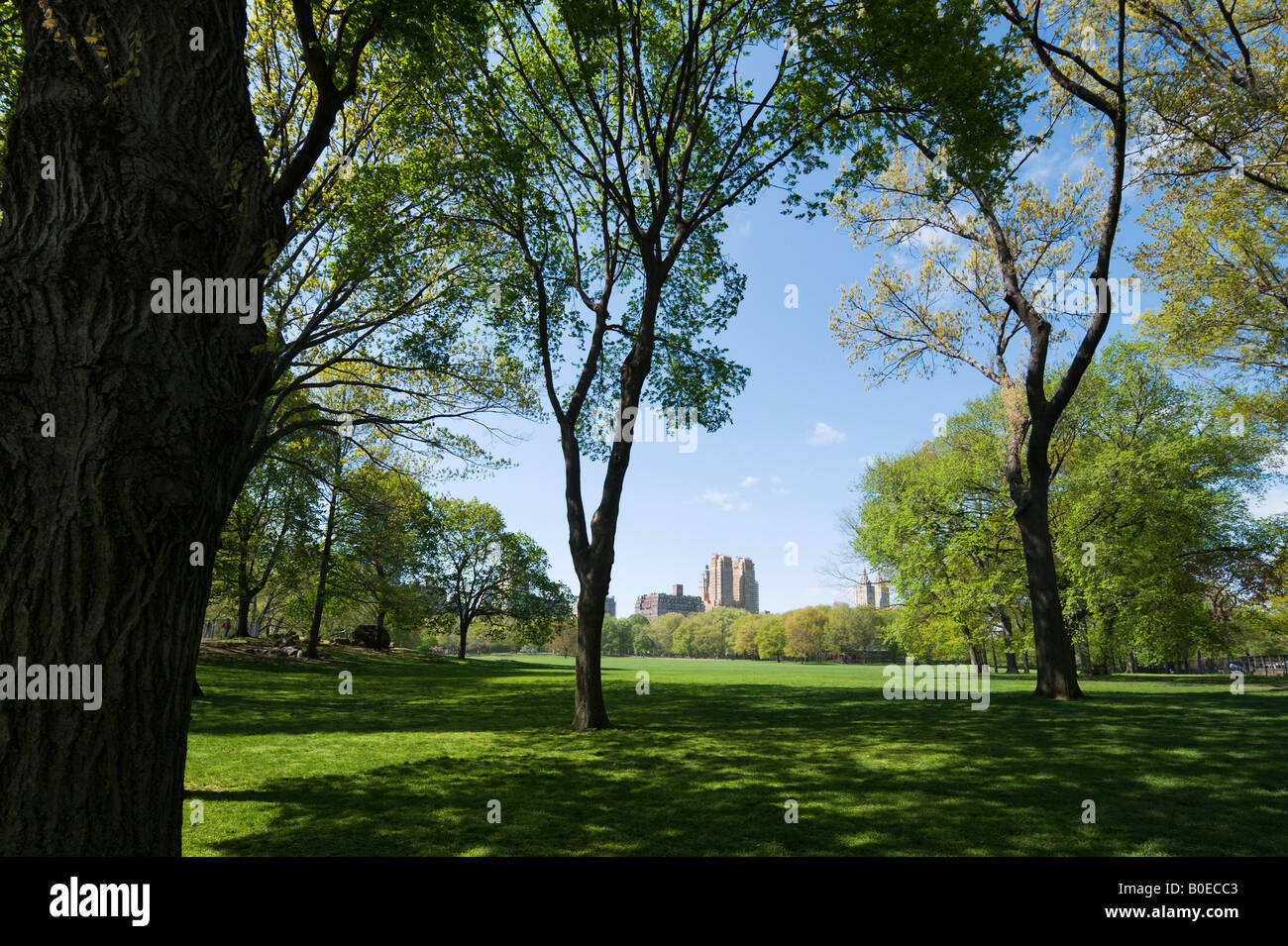 Sheep Meadow con il maestoso e San Remo appartamenti nella distanza, Central Park in primavera, Manhattan New York City Foto Stock