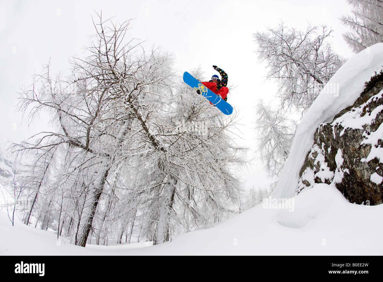 Snowboarder salta da una roccia e al disopra del ramo. Foto Stock