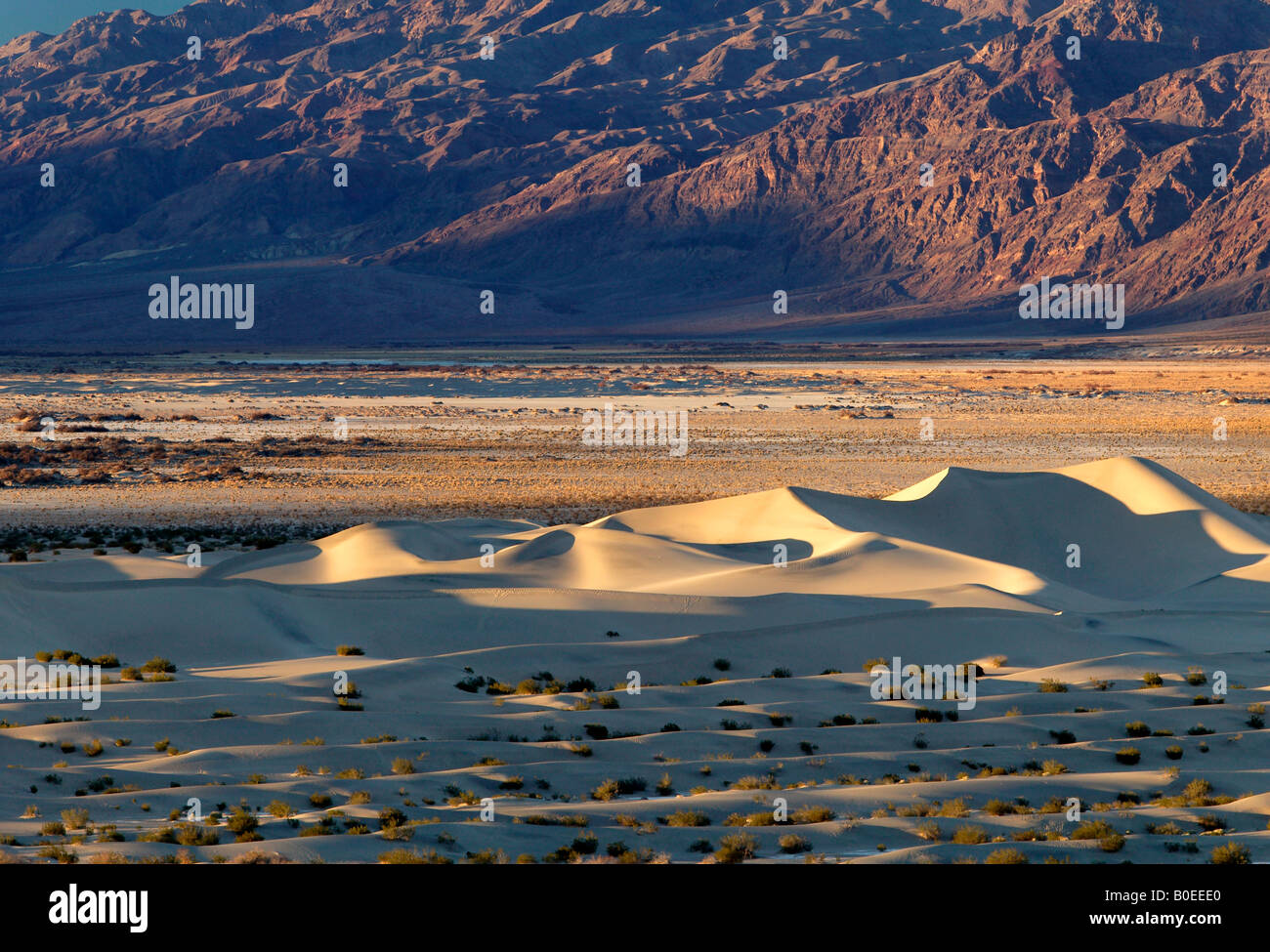 Mesquite dune di Piana, il Parco Nazionale della Valle della Morte, California Foto Stock