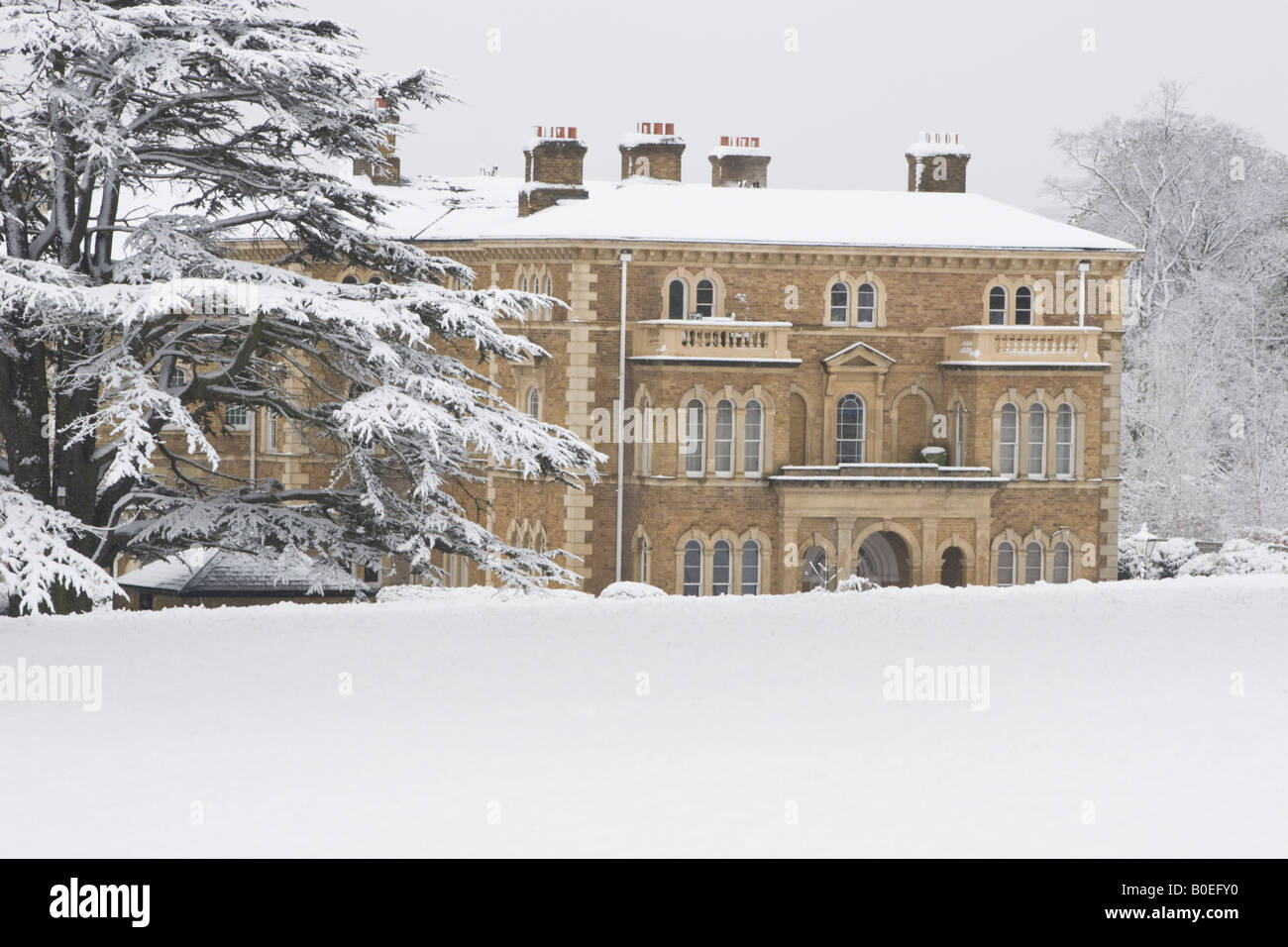 Middlesex County Asylum, Princess Park Manor, Londra, Regno Unito. Foto Stock