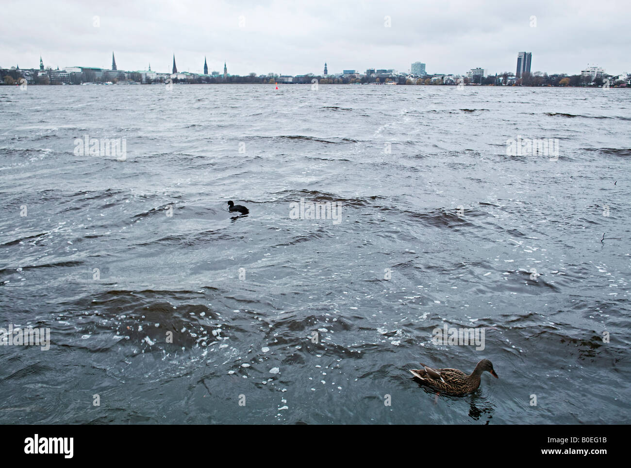 Esterno il lago Alster al brutto tempo Amburgo Germania Foto Stock