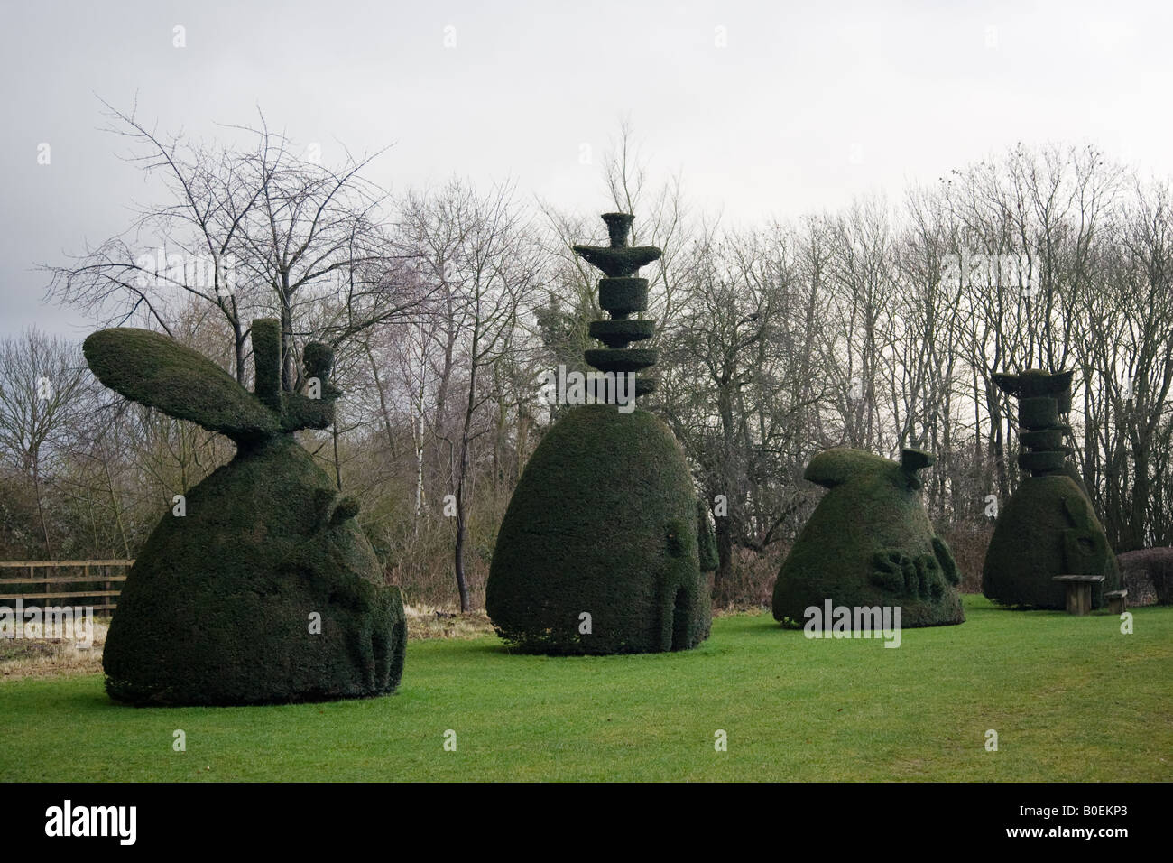 Yew Tree Avenue una collezione di agganciato yew alberi in Clipsham Lincolnshire Regno Unito Foto Stock