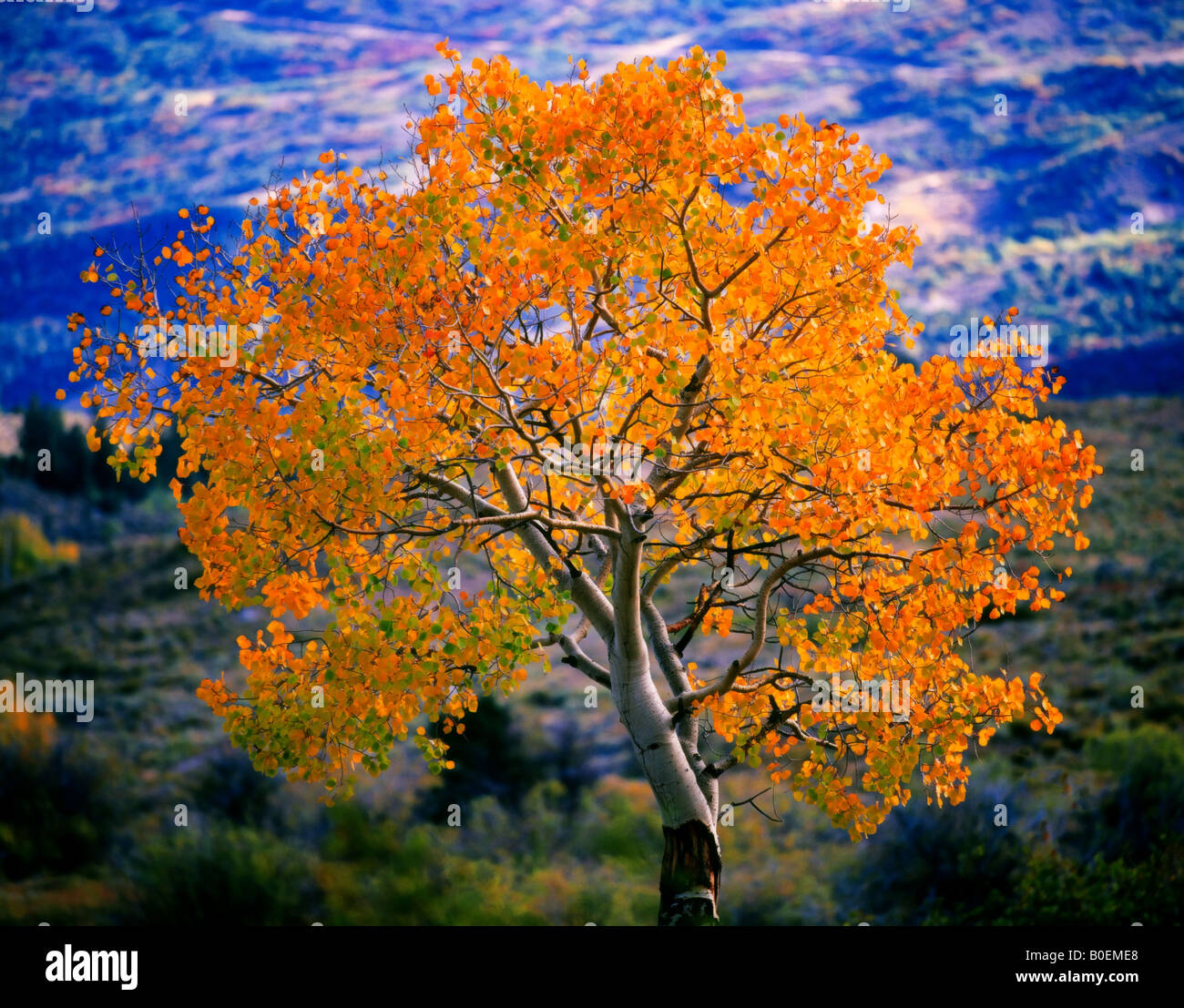 Curecanti National Recreation Area Foto Stock