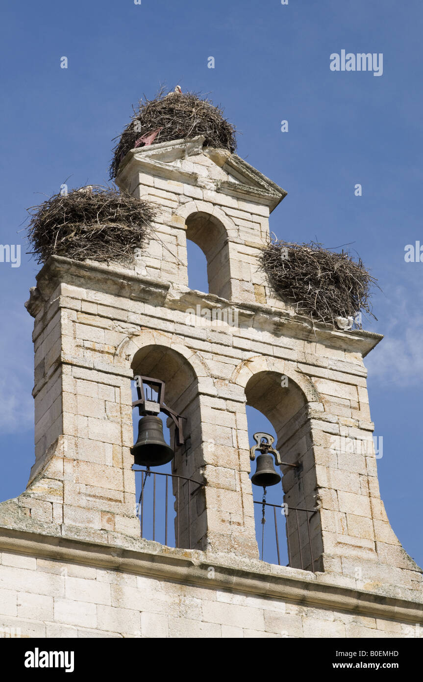 Tre cicogna bianca nidifica in una Chiesa spagnola in Ciudad Rodrigo Foto Stock