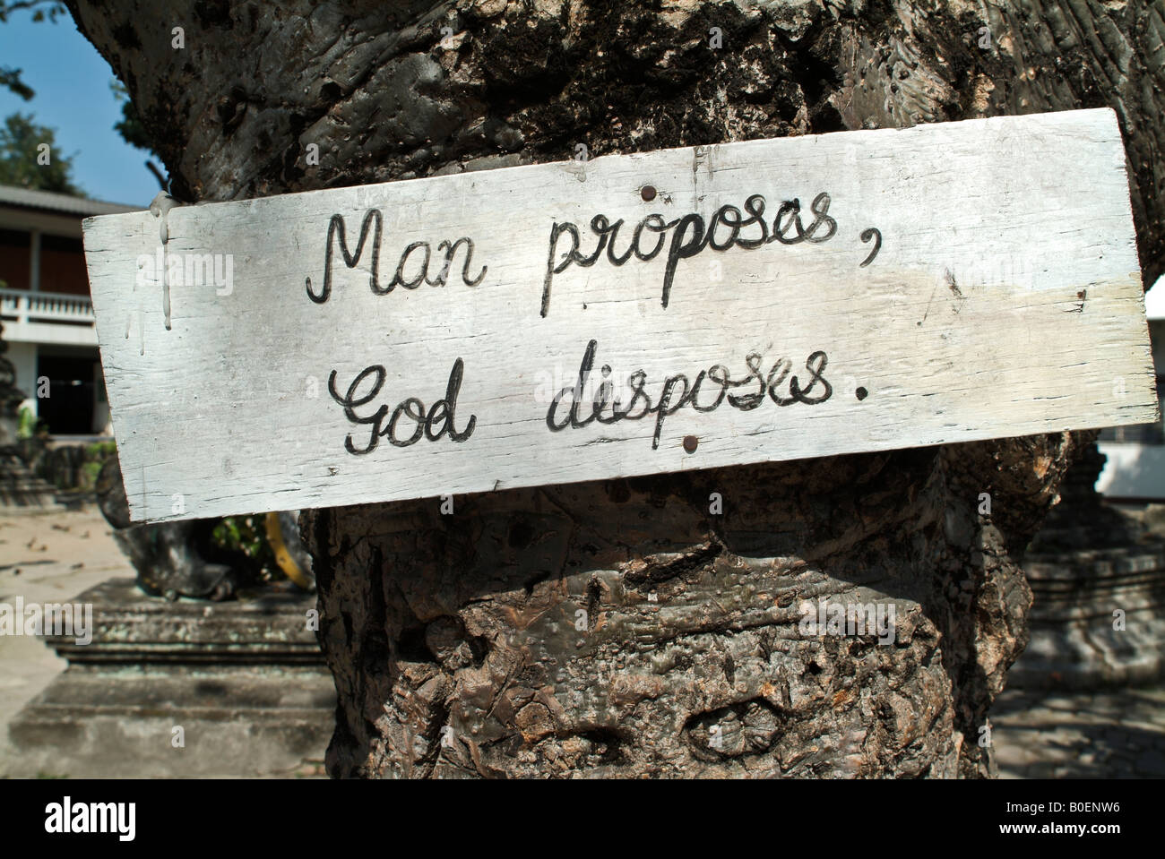 Un cartello con la dicitura "propone e Dio dispone' inchiodati ad un albero. Foto Stock