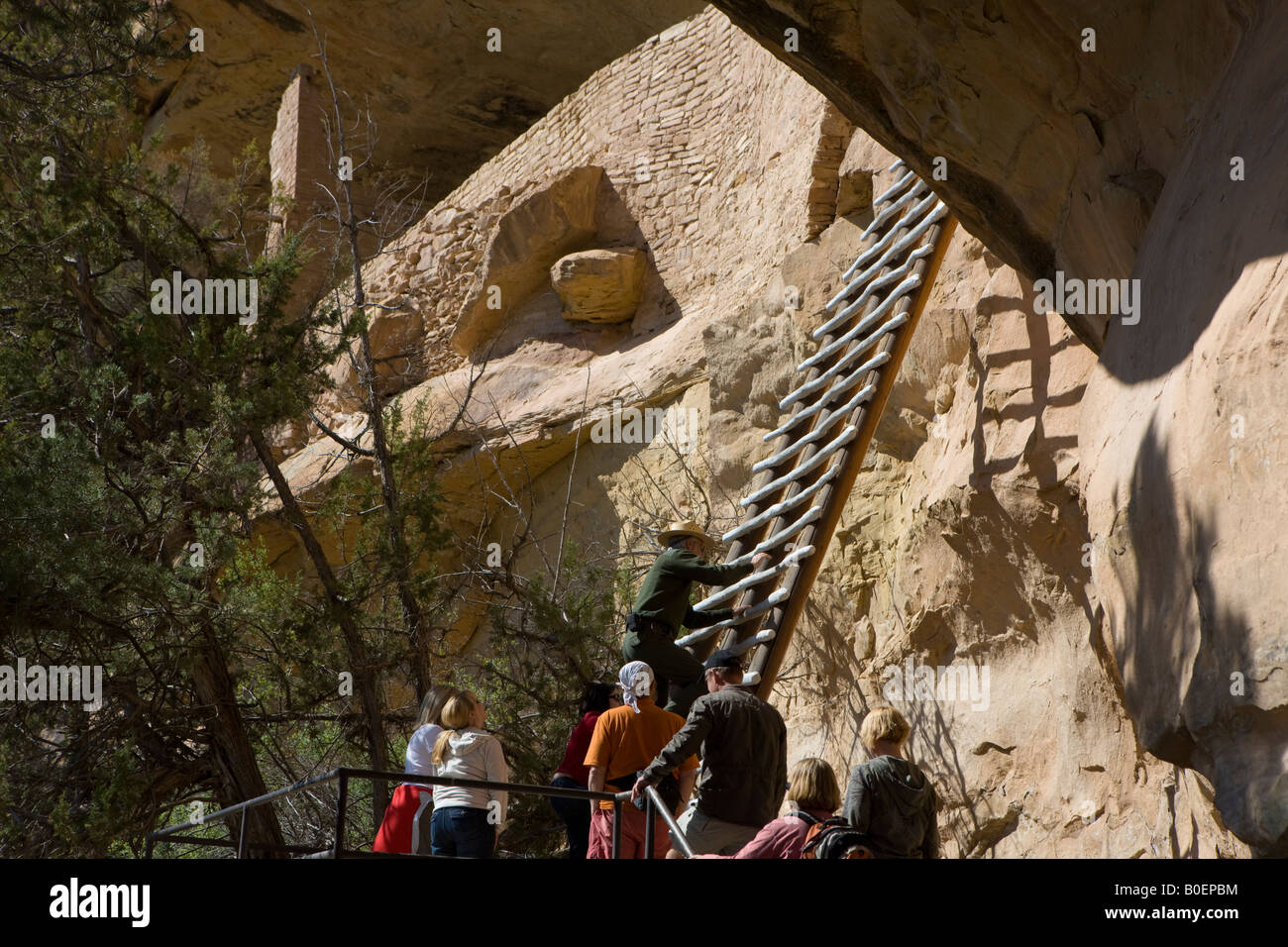 Un US National Parks Ranger è a capo di un gruppo di tour fino a 36 piedi scala verso l'ingresso del balcone rovine della casa Mesa Verde NP Foto Stock