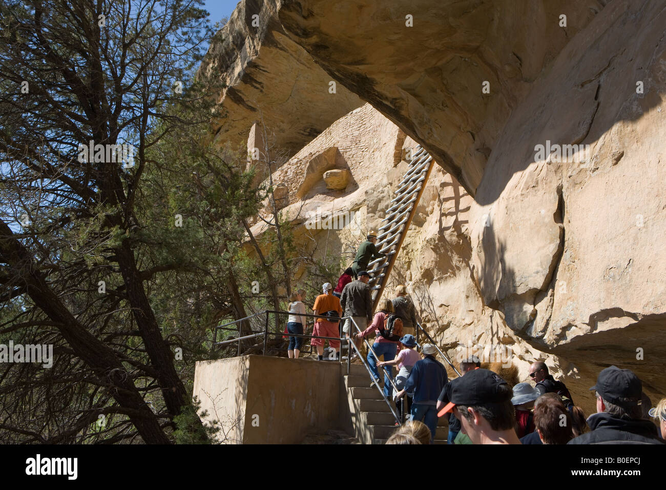Un US National Parks Ranger è a capo di un gruppo di tour fino a 36 piedi scala verso l'ingresso del balcone rovine della casa Mesa Verde NP Foto Stock