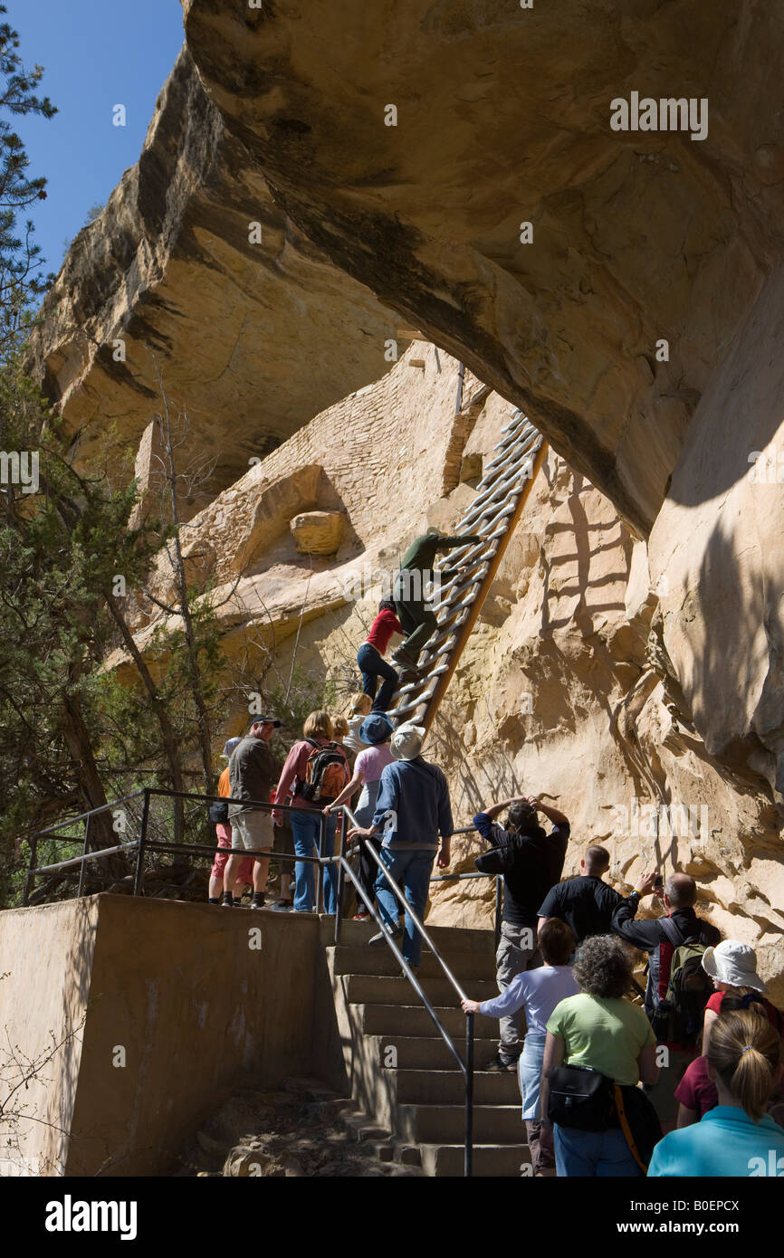 Un US National Parks Ranger è a capo di un gruppo di tour fino a 36 piedi scala verso l'ingresso del balcone rovine della casa Mesa Verde NP Foto Stock