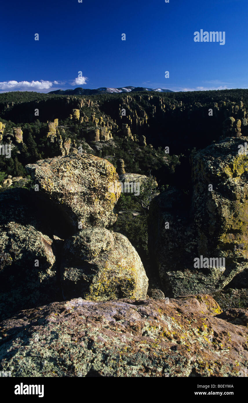 Riolite vulcanica di formazioni a Chiricahua National Monument in Arizona, Stati Uniti d'America Foto Stock