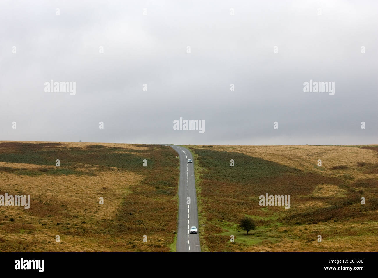 Auto su una strada di campagna in Dartmoor Devon Regno Unito Foto Stock