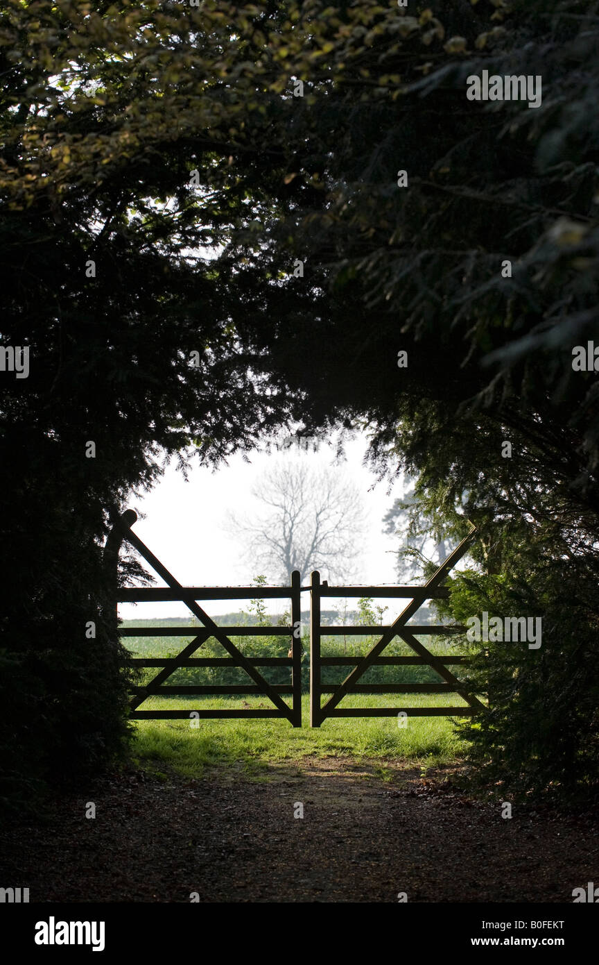 Guardando attraverso gli alberi per porte in legno in legno Evenley giardini, Evenley, Northamptonshire, Inghilterra Foto Stock