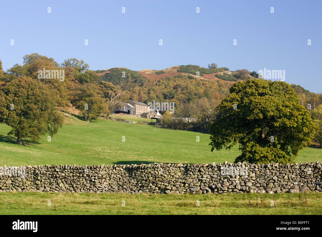 Asciugare la parete in pietra a Lakeland Hill Farm Lake District Inghilterra Regno Unito Foto Stock