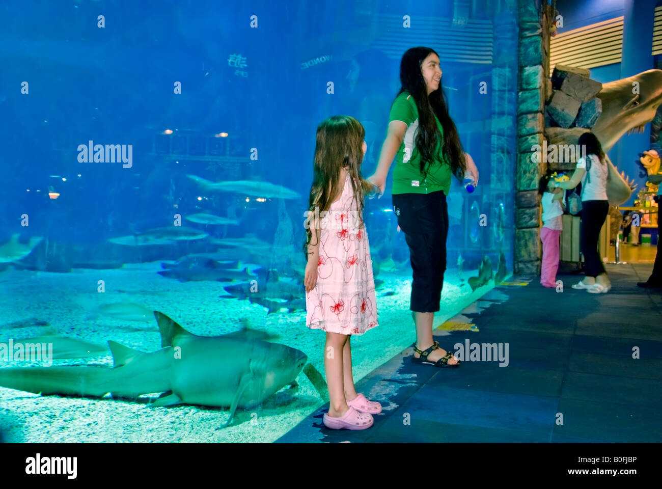 Pechino CINA, 'Zoo di Pechino' turisti cinesi che guardano animali dal vivo Mostra 'Ragazze adolescenti' di fronte all'Acquario degli squali, adolescenti e animali Foto Stock