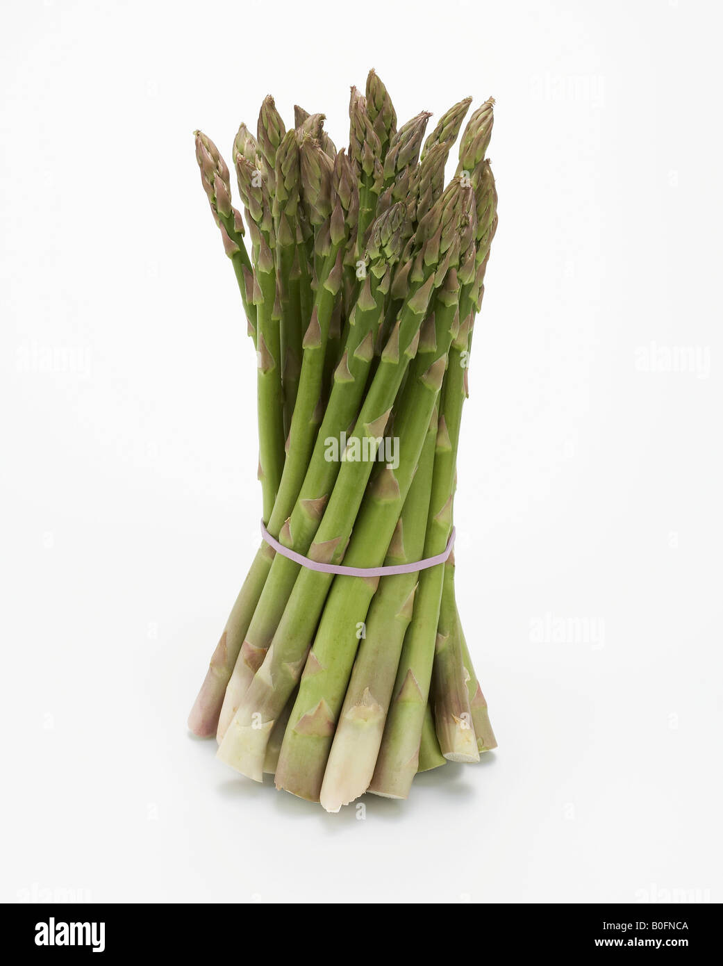 Mazzetto di asparagi Foto Stock