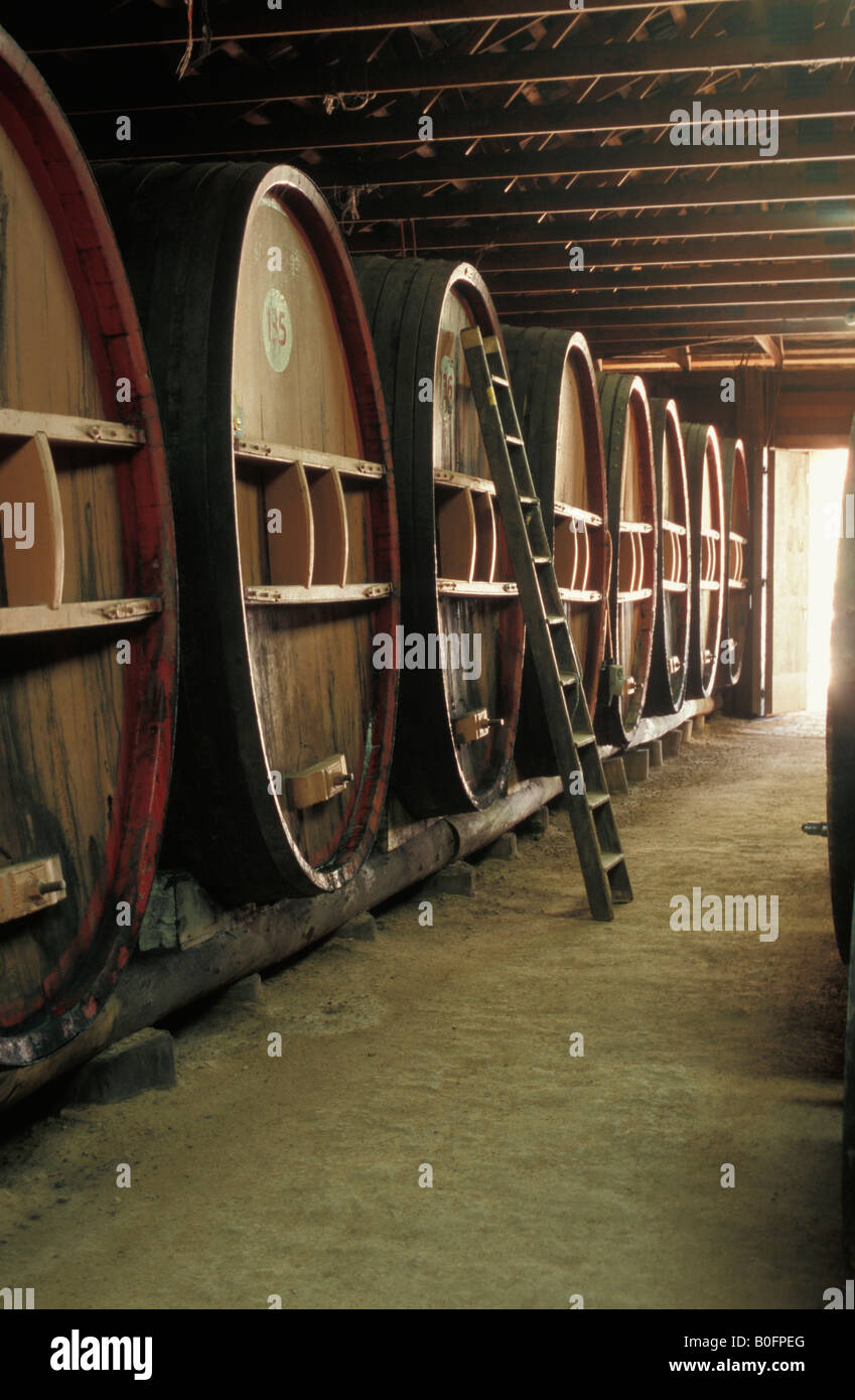 La Botte Hall Pieter van Gent Cantina Mudgee Nuovo Galles del Sud Australia Foto Stock