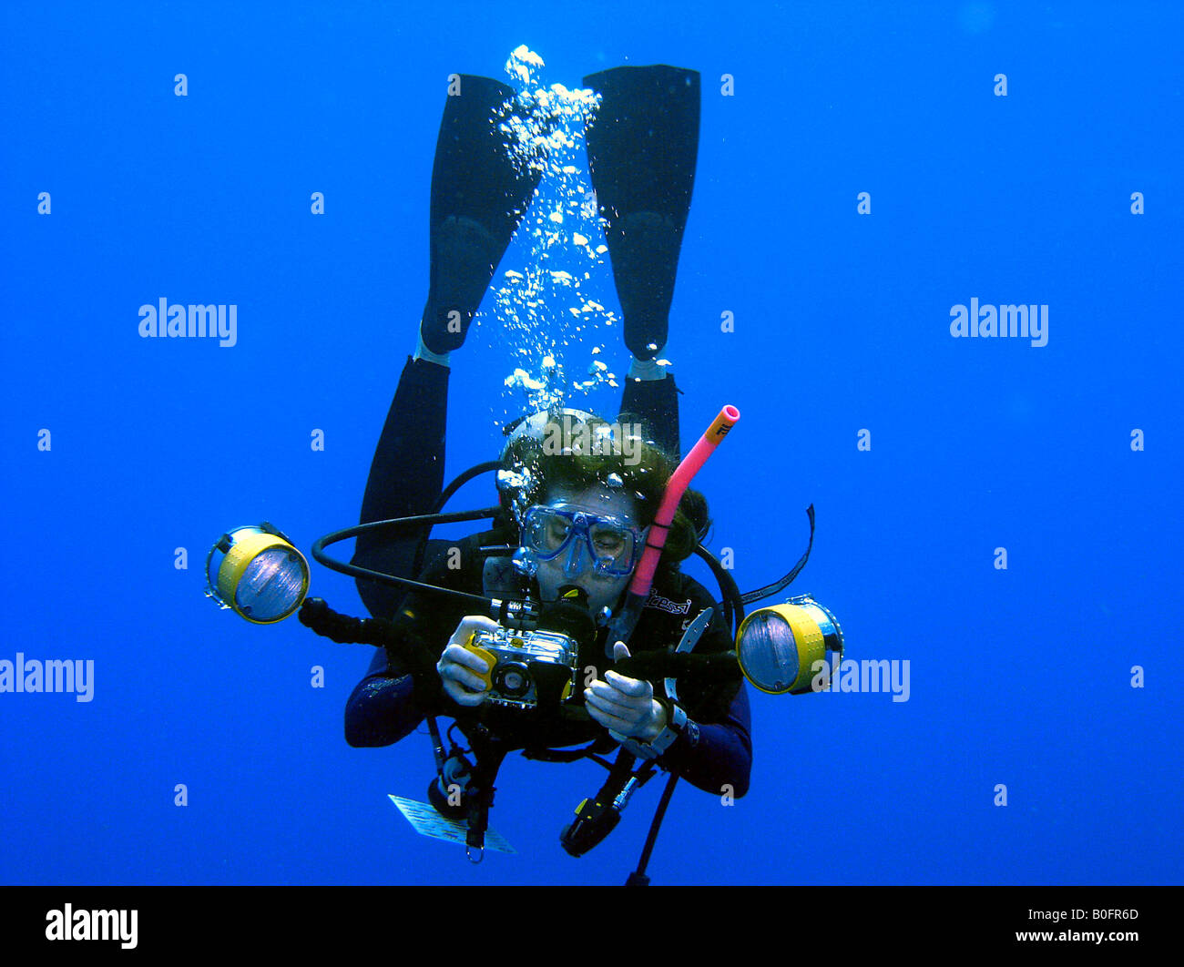 Fotografo subacqueo Foto Stock