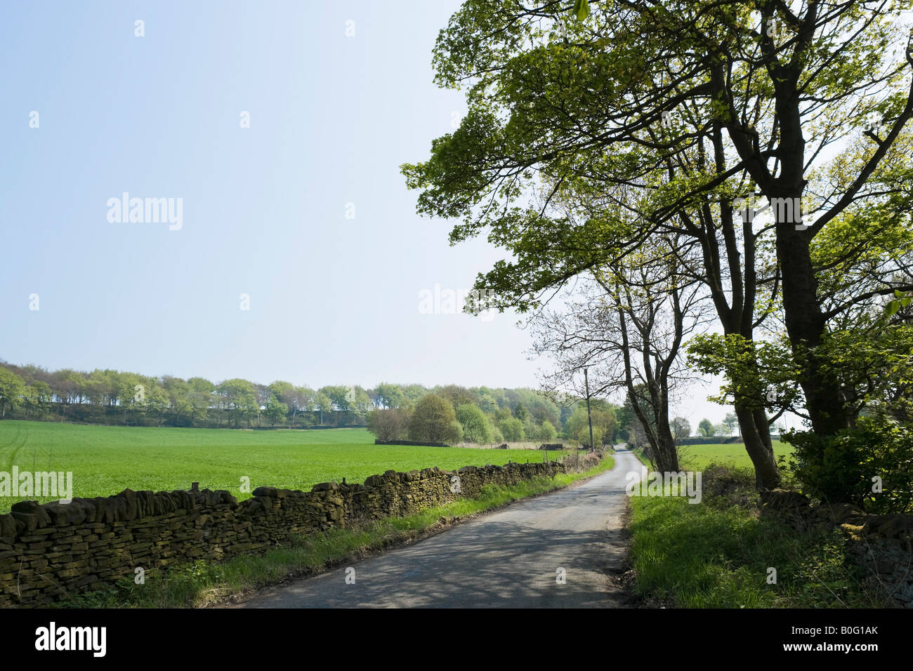 Strada di campagna vicino a Holmfirth, Huddersfield, West Yorkshire, Inghilterra, Regno Unito Foto Stock