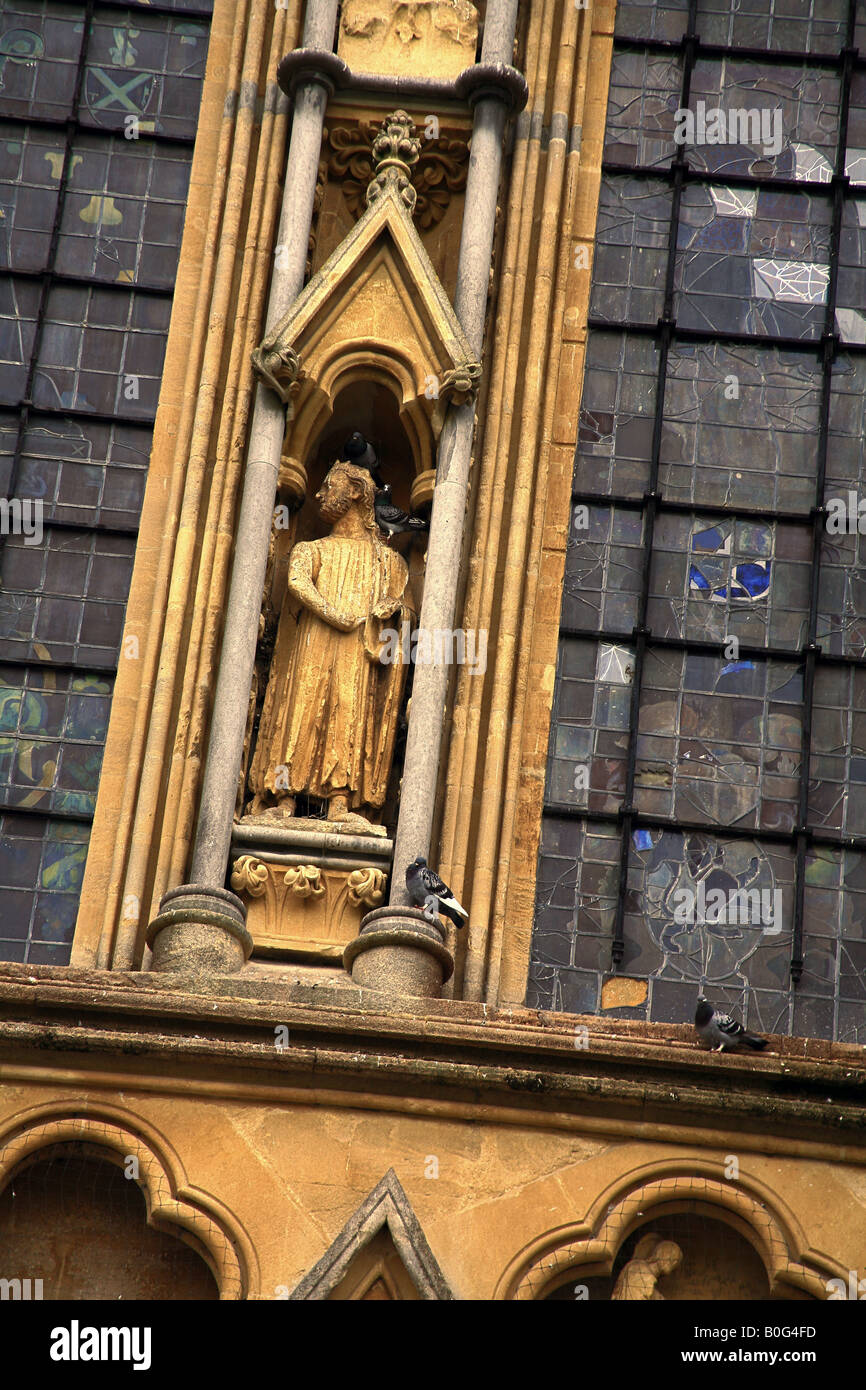 Piccioni sono ' appollaiati sulla parete ovest della Cattedrale di Wells Somerset REGNO UNITO Foto Stock