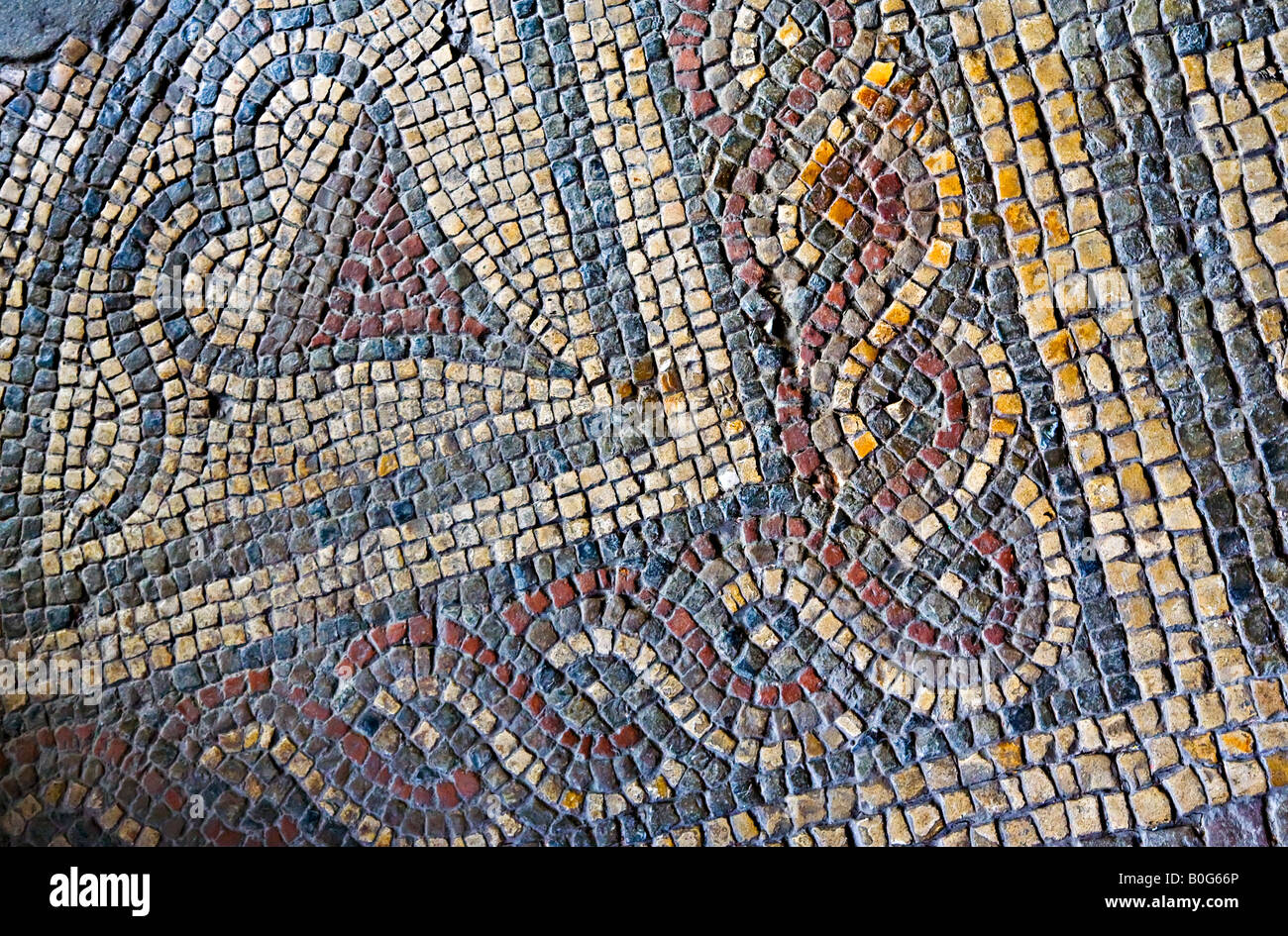 Roman pavimento a mosaico scoperto a Caerwent Wales UK Foto Stock