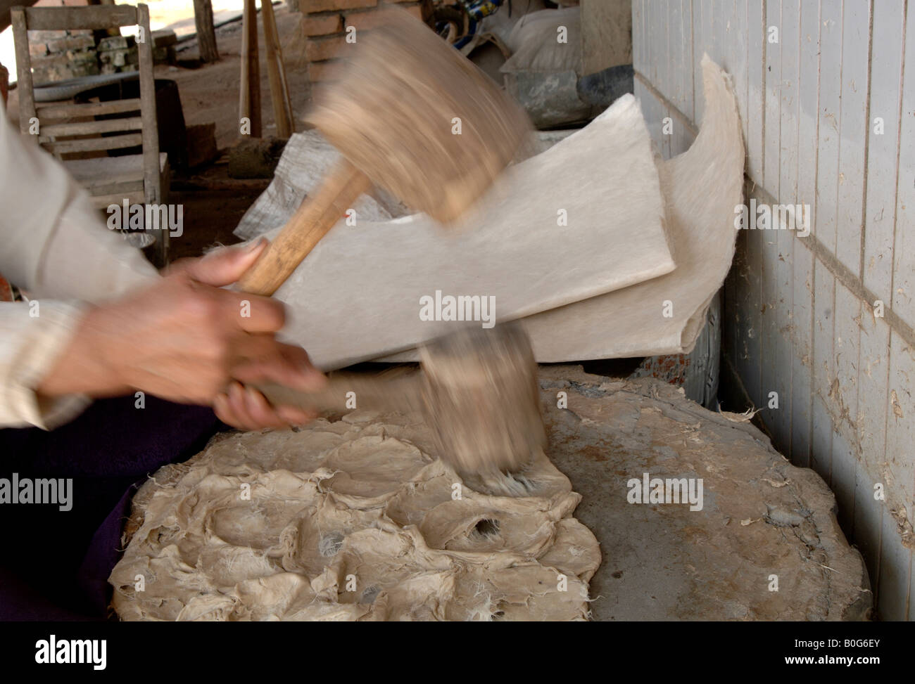 Martellamento abbaio di gelso per la fabbricazione della carta Yunnan in Cina Foto Stock