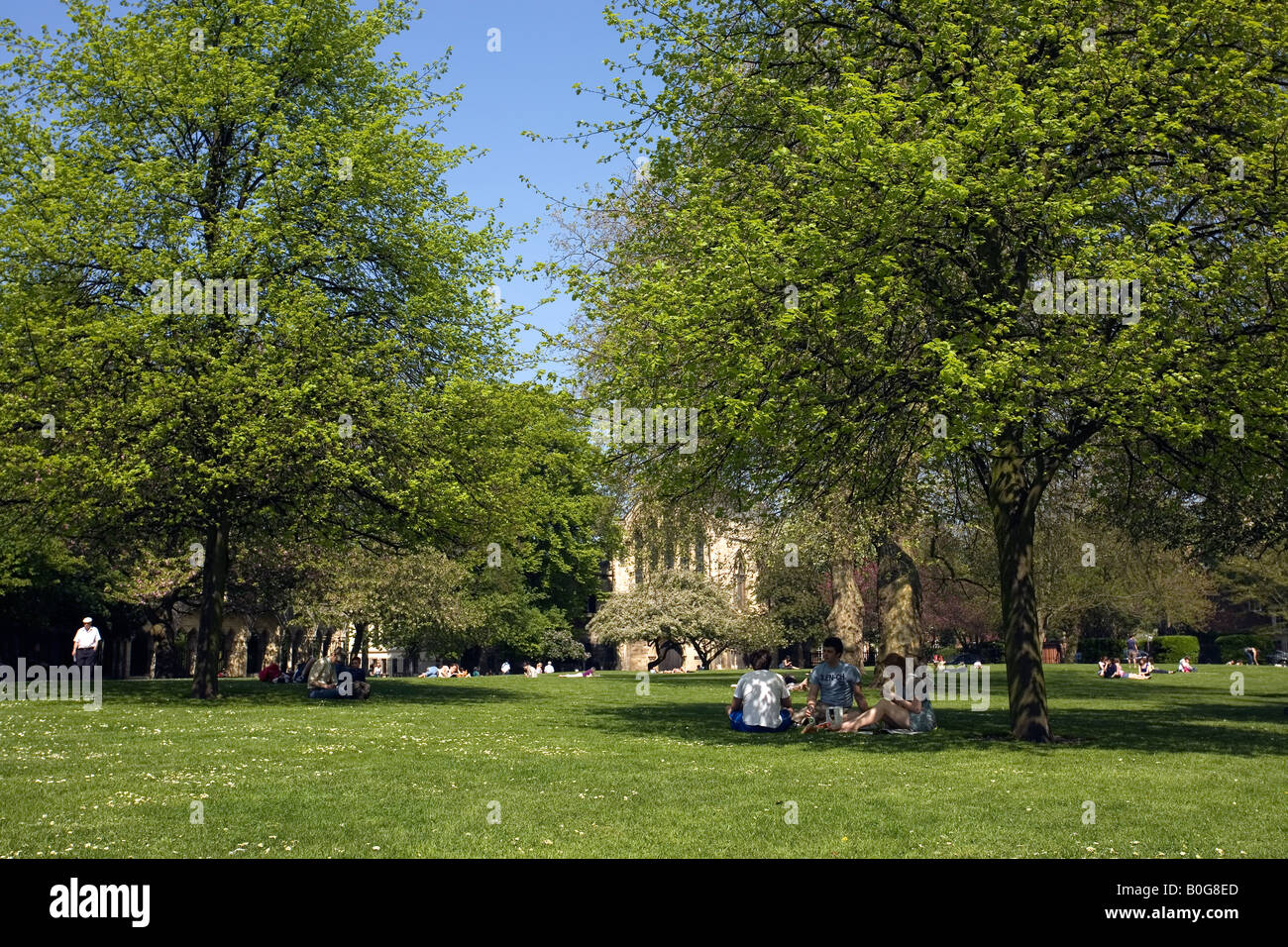 York Minster giardini, York, North Yorkshire, Inghilterra Foto Stock