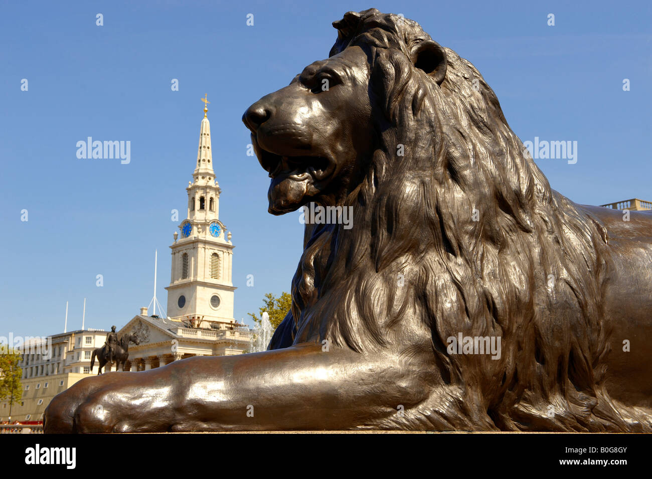 Lion statua con St Martins nel campo Trafalgar Square Londra Foto Stock