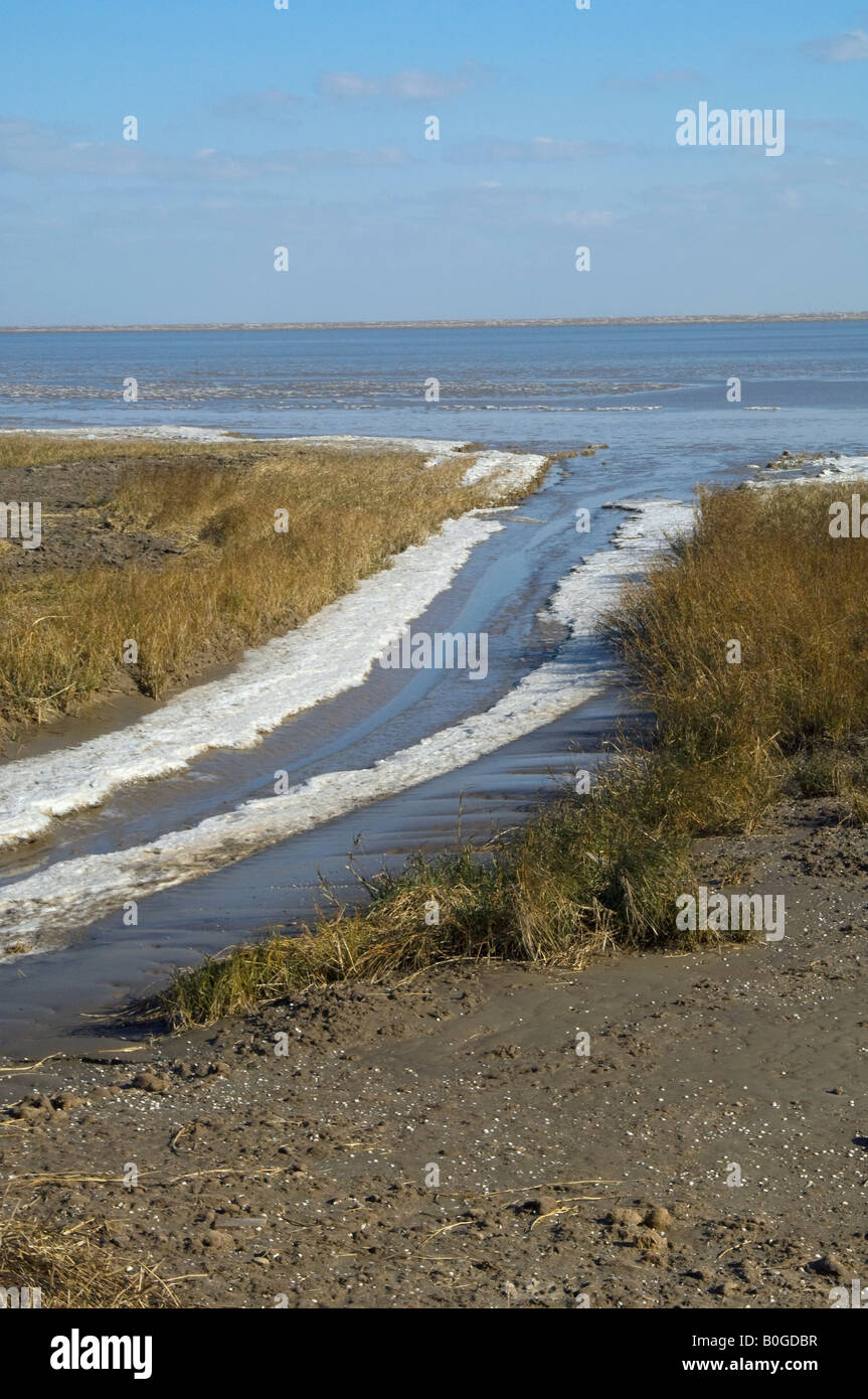Yancheng NNR fronti di costa sul Mar Giallo con la formazione di ghiaccio nel canale di scolo in gennaio Foto Stock