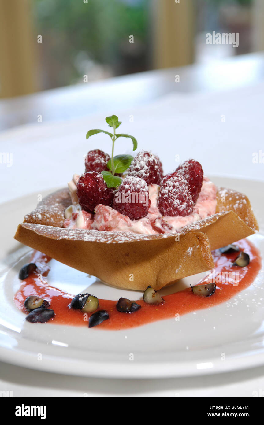 Lampone dessert REGNO UNITO Foto Stock