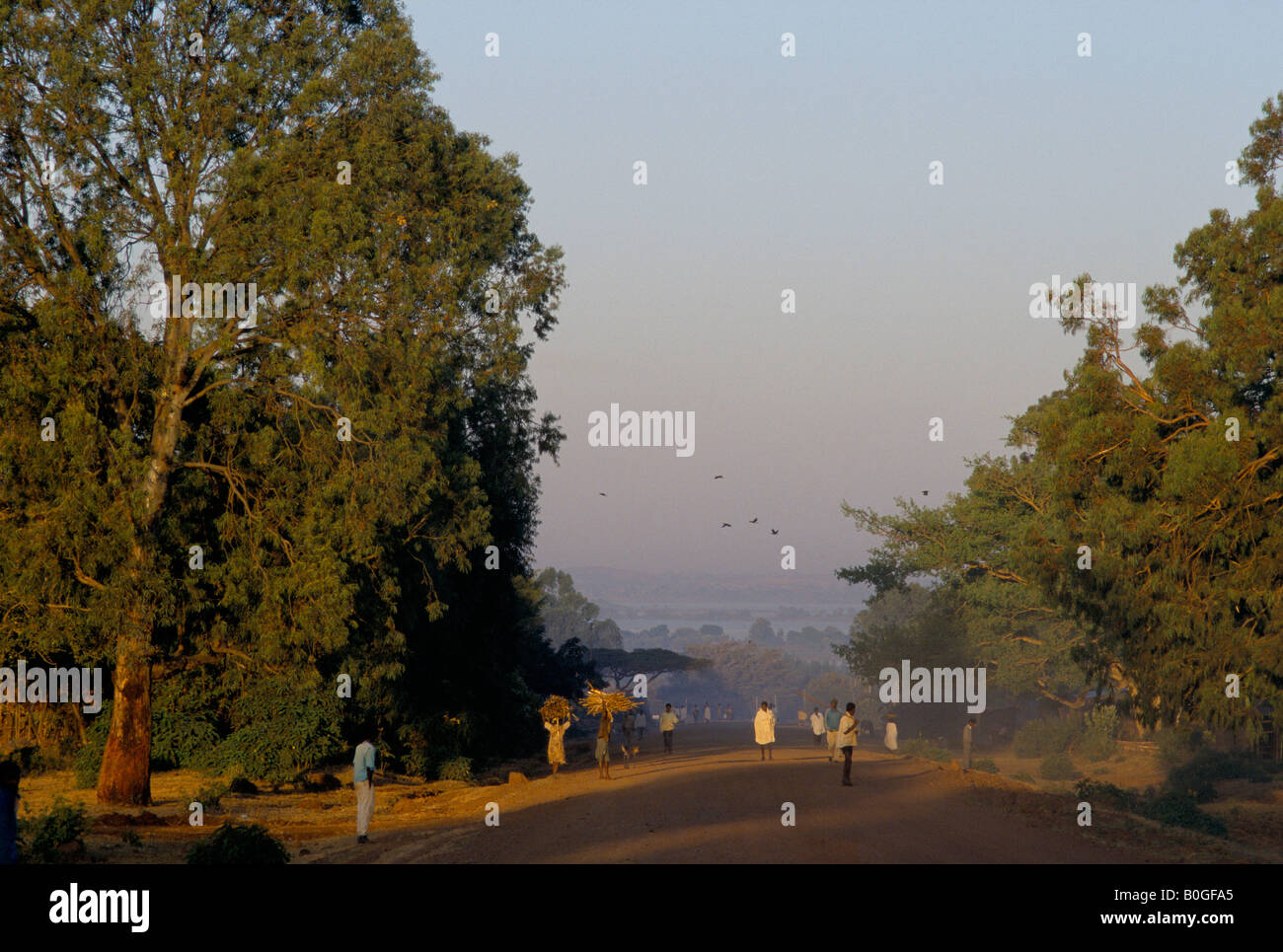 La gente camminare lungo una strada nelle prime ore del mattino, Bahir Dar, Etiopia. Foto Stock