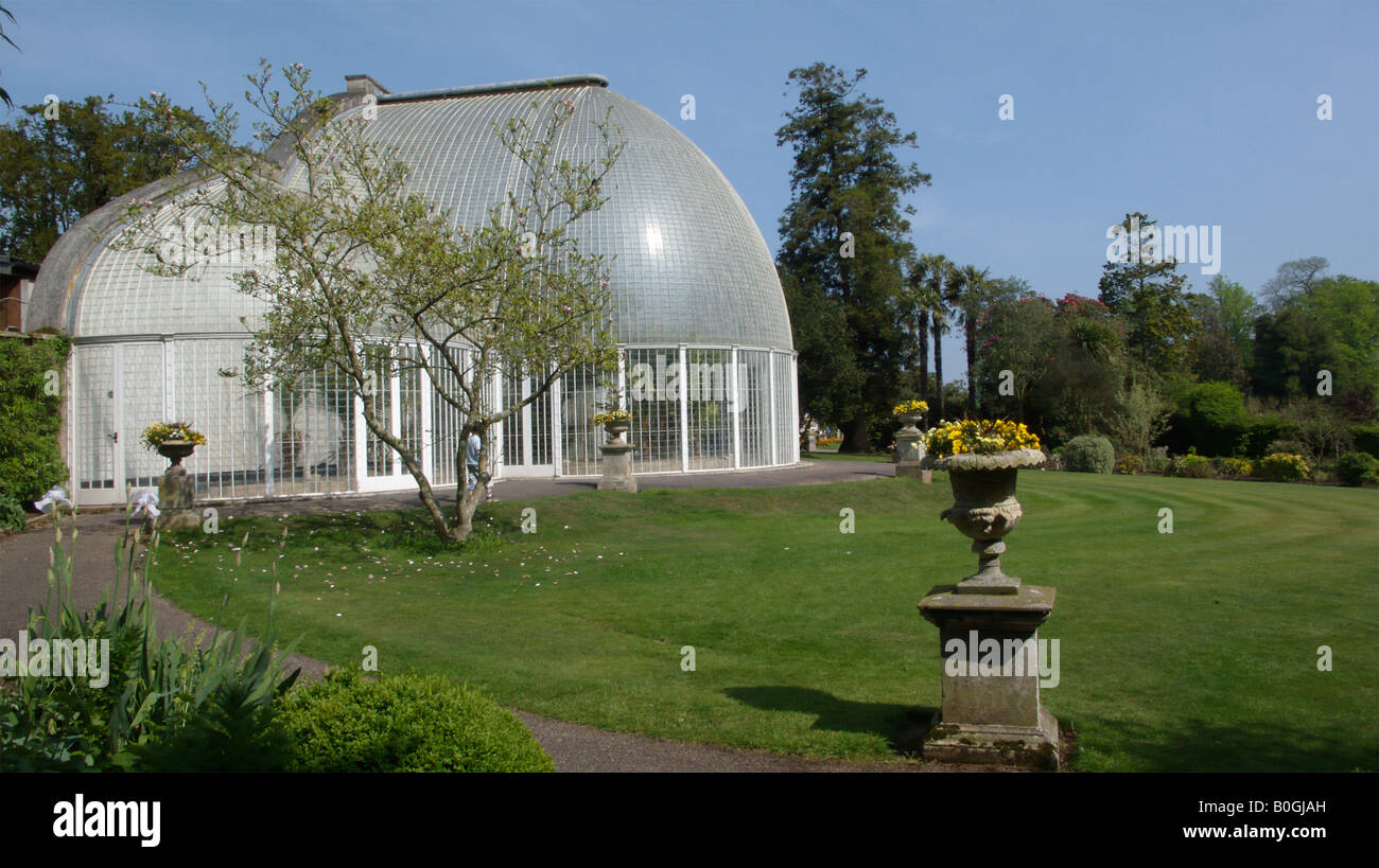 La Casa delle Palme a Bicton Giardini Botanici Exeter Devon Foto Stock