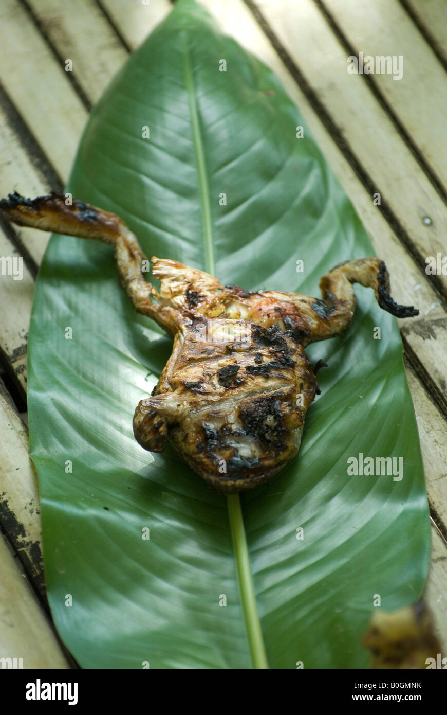 Una giungla frog è cotto nel fuoco e servita su foglie di banano. Nel nord della Thailandia. Foto Stock