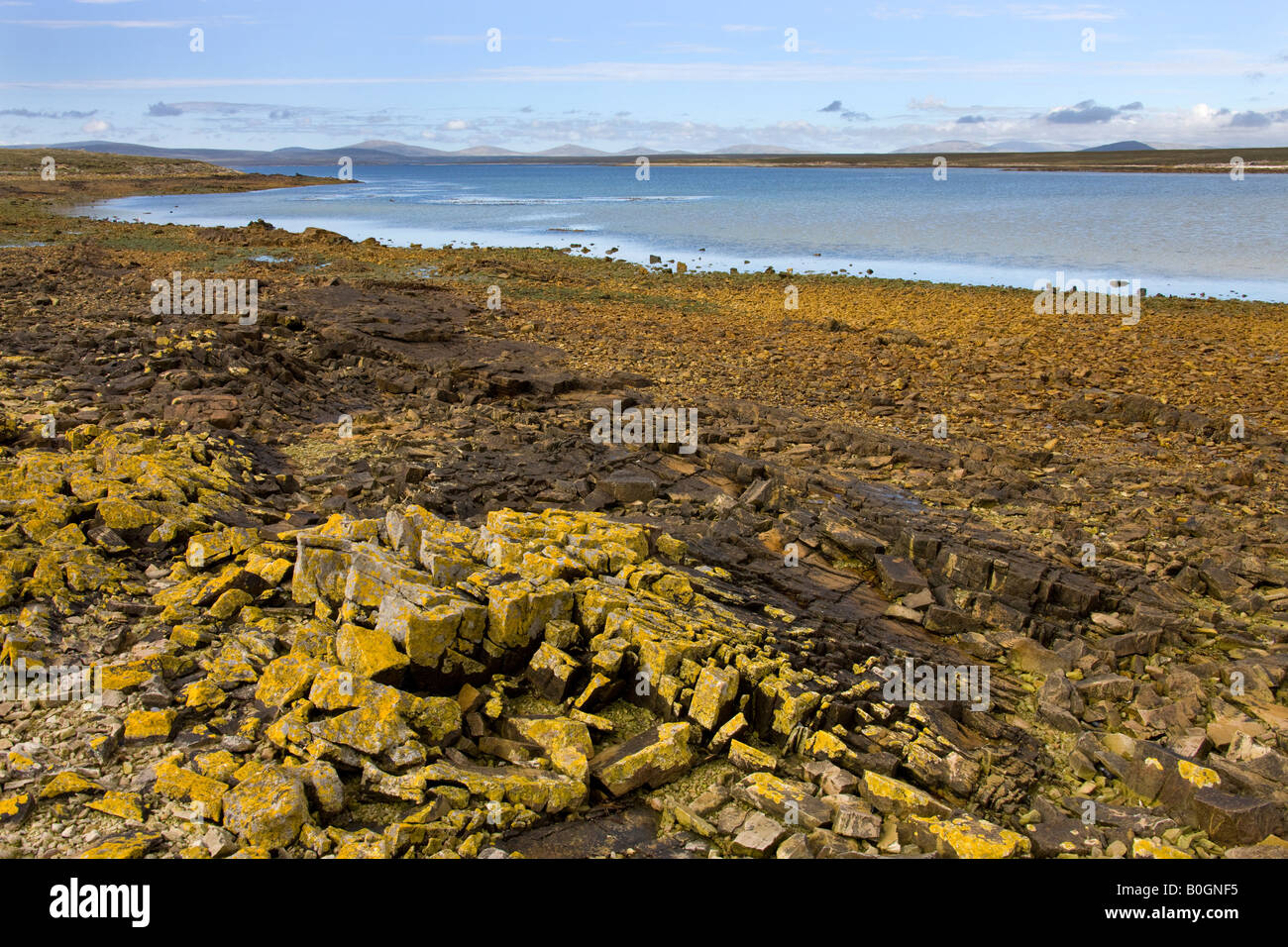 Spiaggia remota sulla isola di ghiaia sulla West Falkland nelle isole Falkland Foto Stock