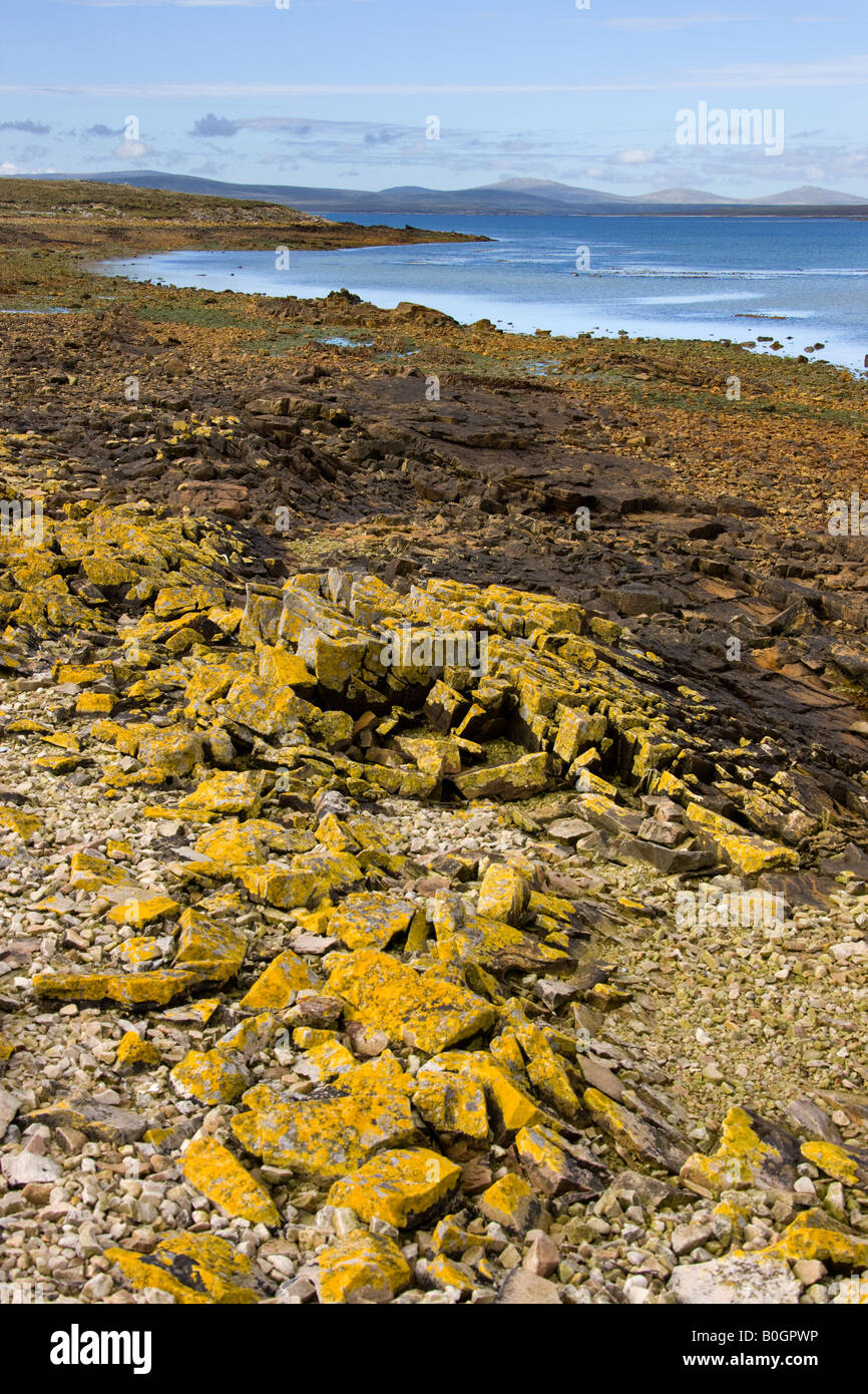 Spiaggia remota sulla isola di ghiaia sulla West Falkland nelle isole Falkland Foto Stock