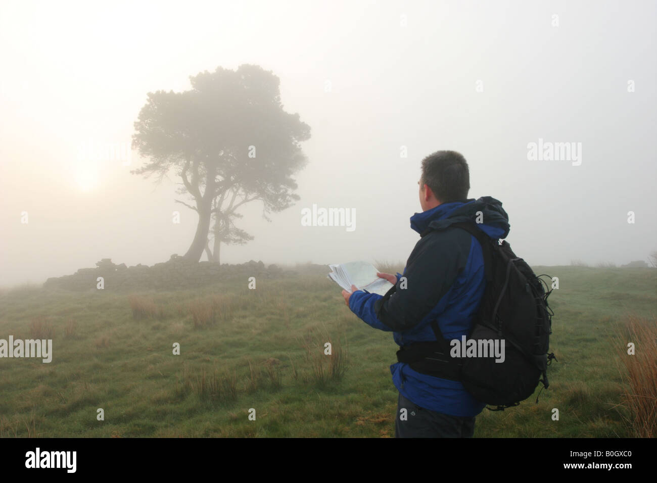 Hill Walker controllo della mappa contro una funzione durante la navigazione nella nebbia Loups's Hill, Teesdale, County Durham Foto Stock
