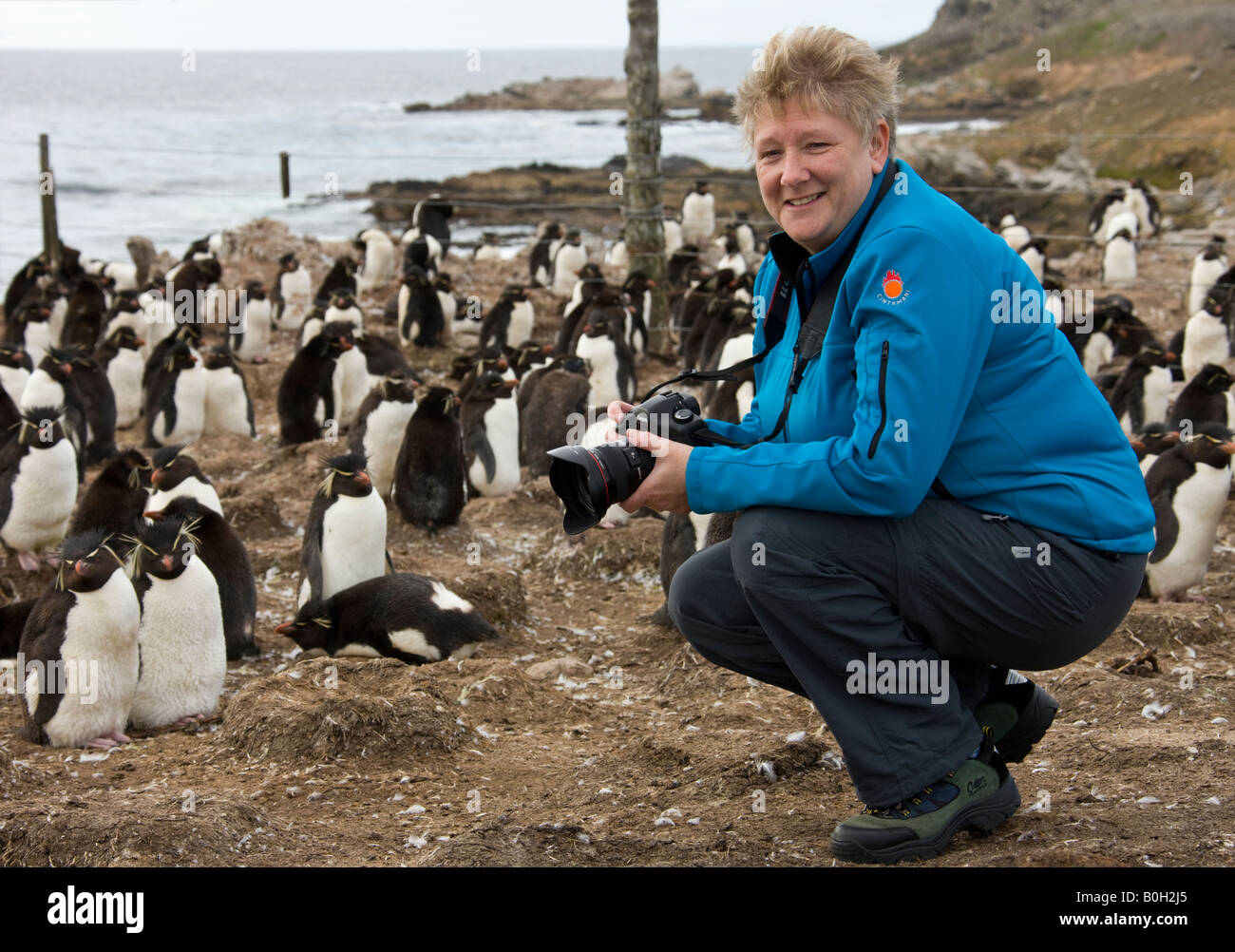 Turistico a un pinguino saltaroccia colonia su isola di ghiaia nelle isole Falkland Foto Stock