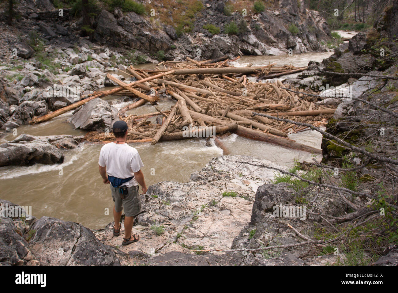 Nord America Idaho Frank Church River of No Return, Medio forcella Salmon River, fiume guide scout Log Jam a pistola Creek rapido. Foto Stock