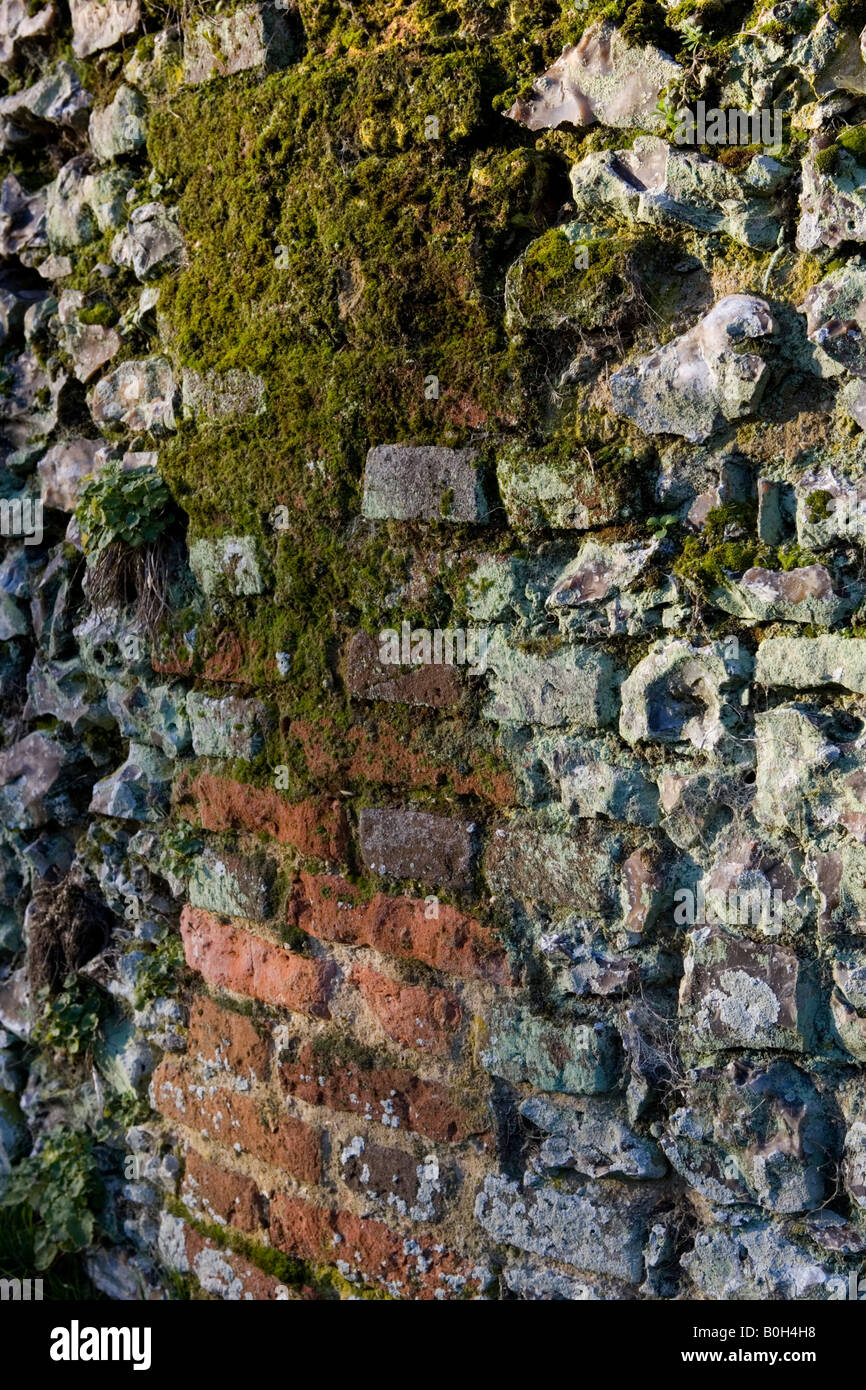 Un vecchio moss coperti di mattoni di argilla e flinstone parete in Medmenham, Buckinghamshire, Inghilterra Foto Stock