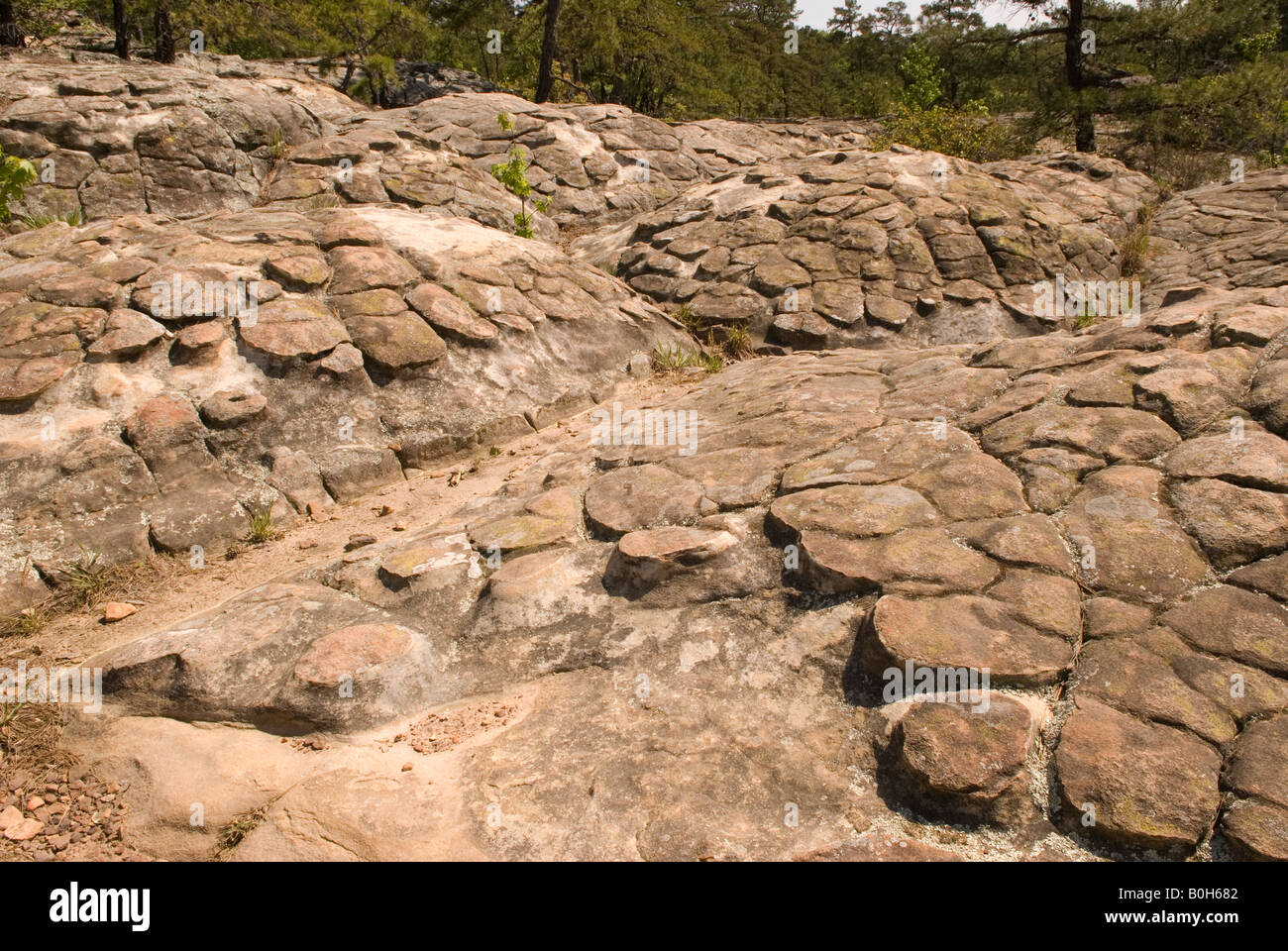 Rocce di tartaruga a Petit Jean State Park Arkansas USA Foto Stock