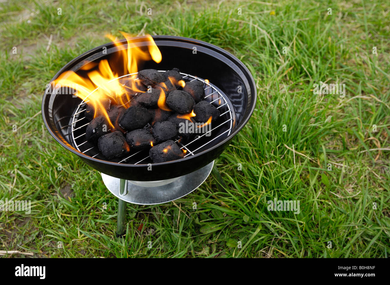 Barbecue nella natura Foto Stock