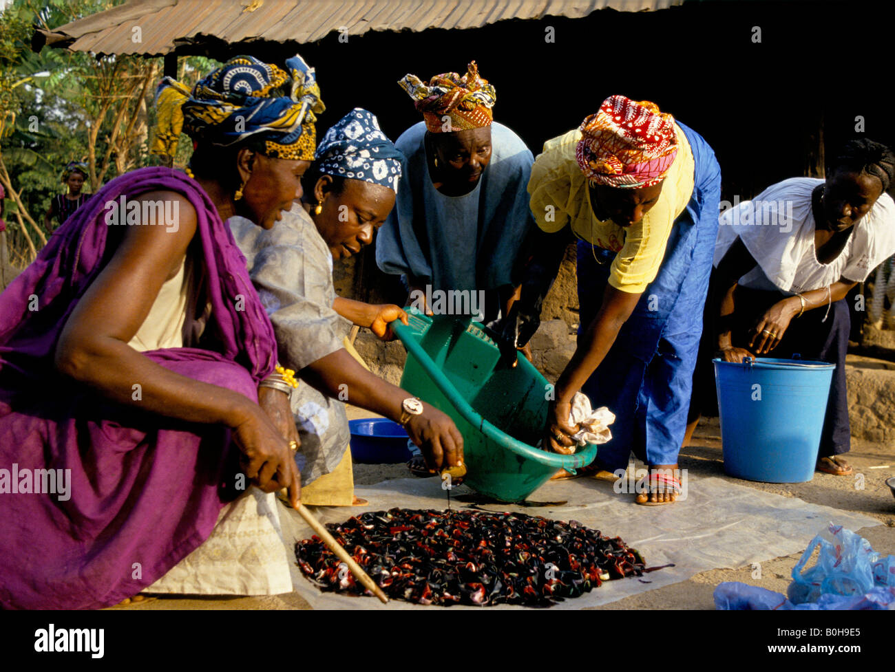 Un gruppo di Makeni donne che fanno gara tradizionale legame-tinto abbigliamento, Makeni, Sierra Leone. Foto Stock