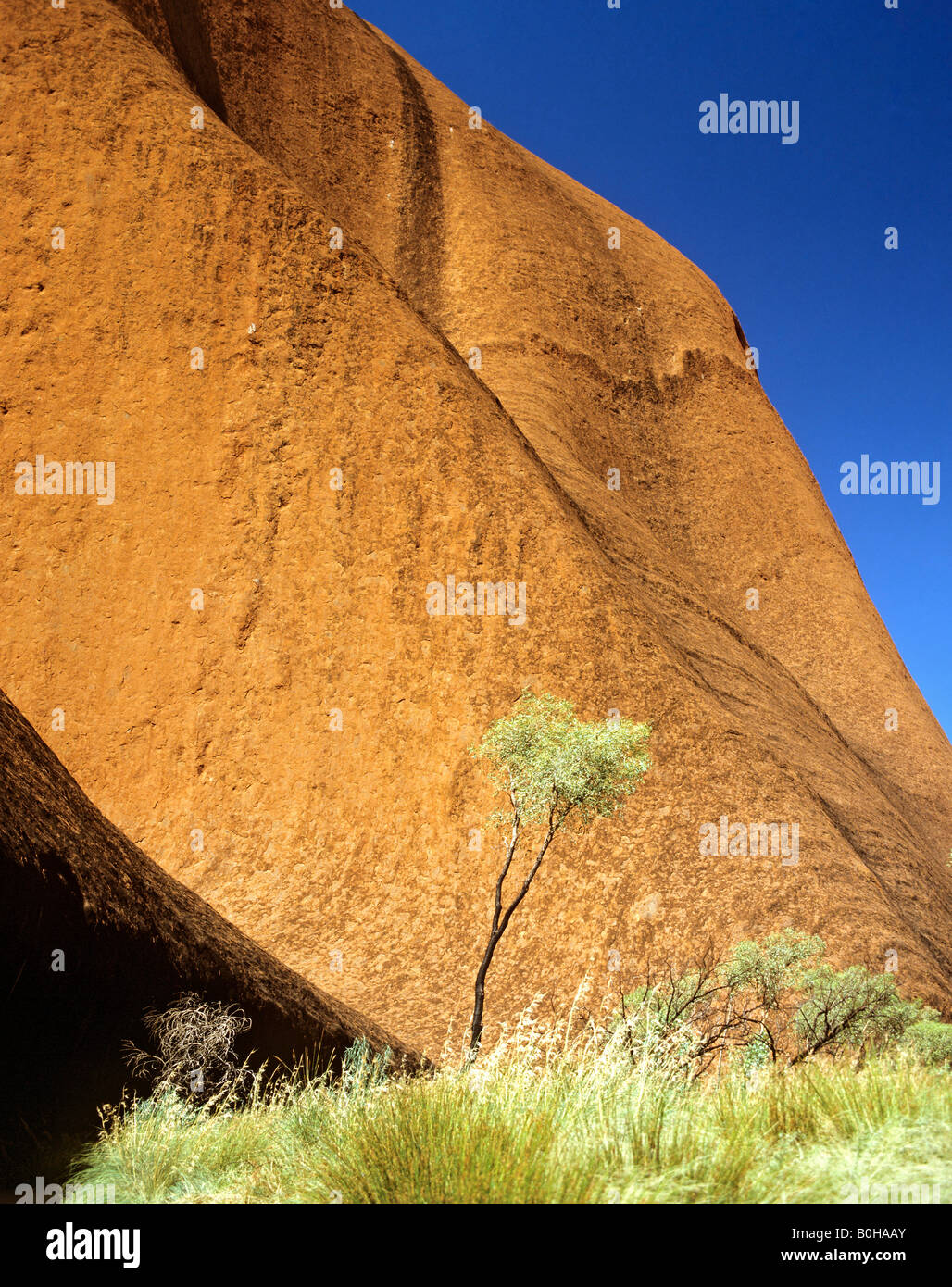 Uluru Ayers Rock, dettaglio, arenaria, Territorio del Nord, l'Australia Foto Stock