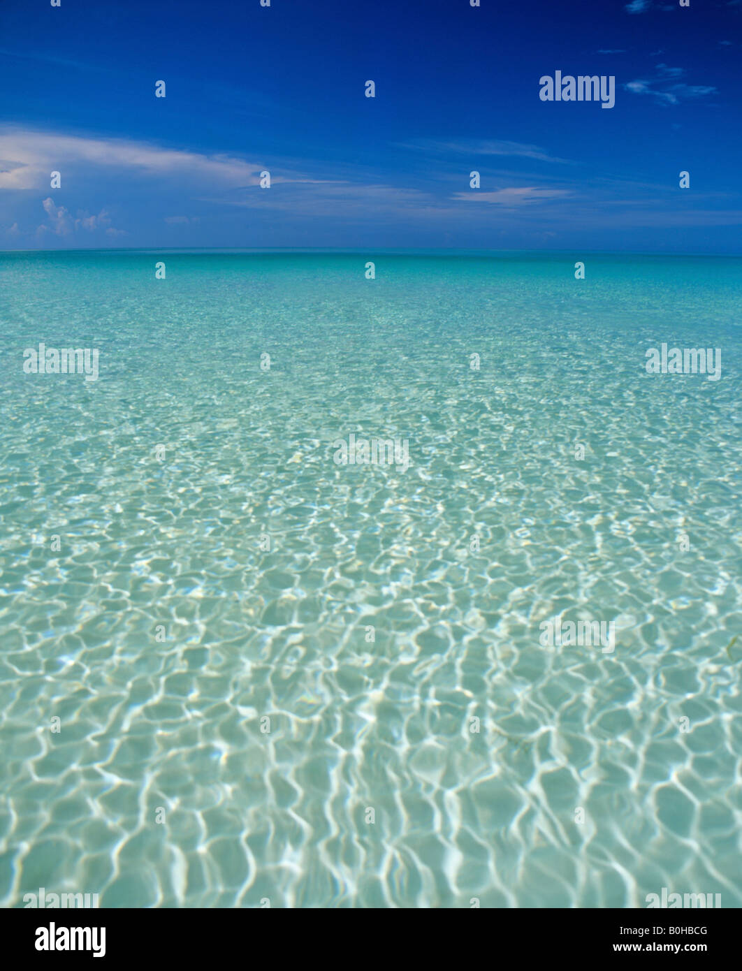 Cancellare l'acqua dell'oceano, basse acque turchesi, Maldive, Oceano Indiano Foto Stock