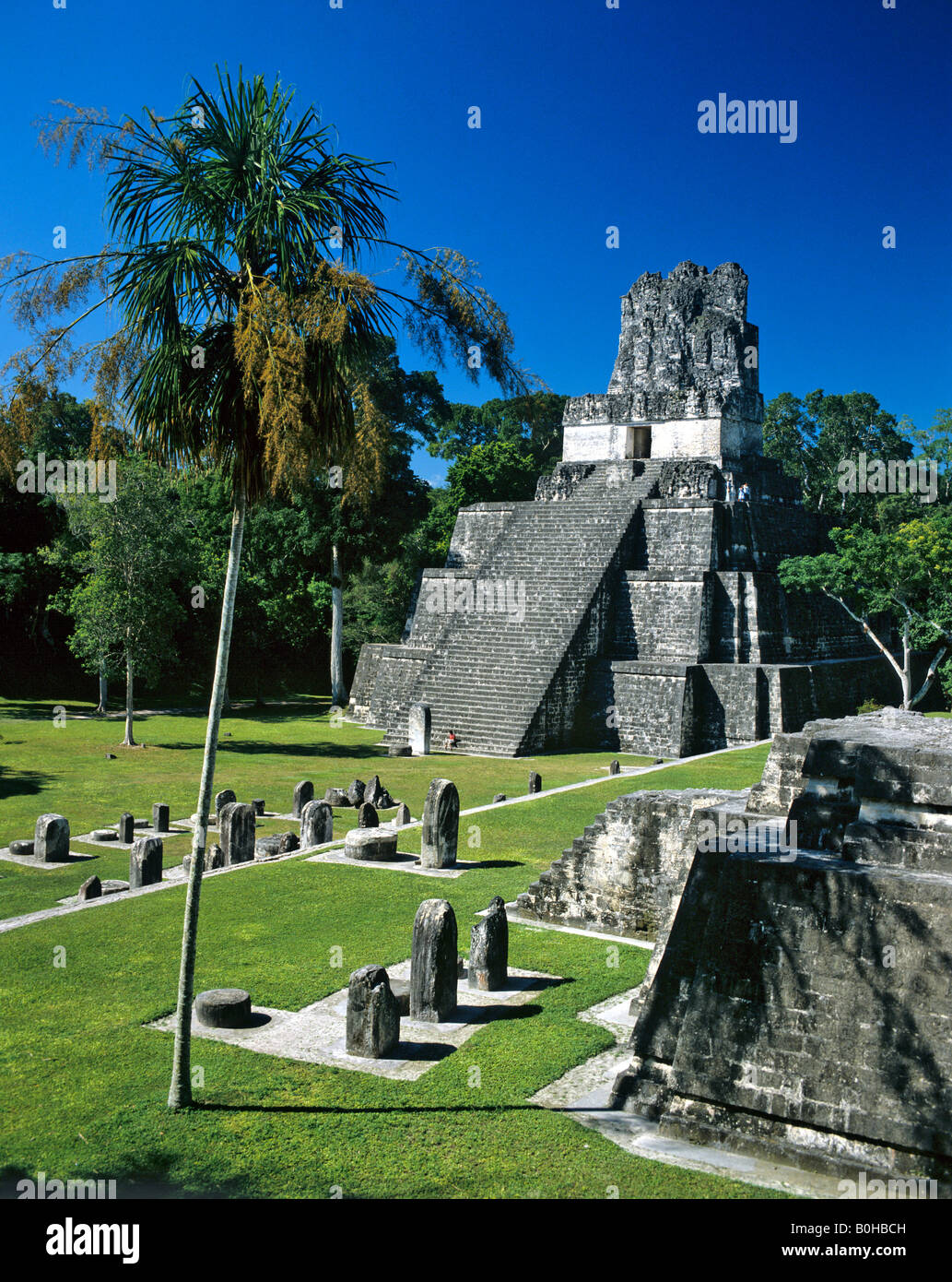 I resti di un tempio di Tikal, piramide Maya, Guatemala, America Centrale Foto Stock