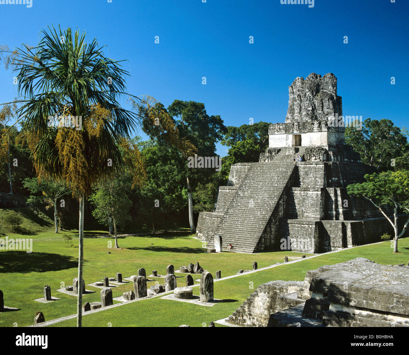 I resti di un tempio di Tikal, piramide Maya, Guatemala, America Centrale Foto Stock