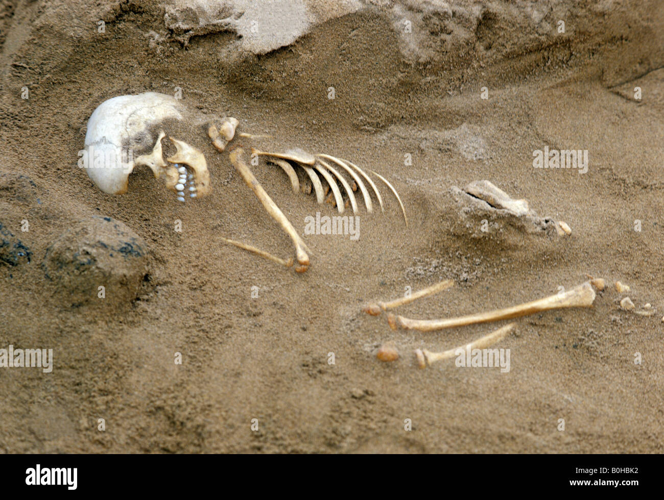 Luogo di sepoltura, bambino, lo scheletro di scavo, Rapa Nui, Isola di Pasqua, in Cile, in Oceania Foto Stock