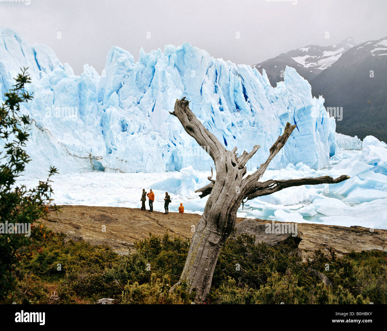 Ghiacciaio Perito Moreno, Campo de Hielo Sur, Ande, Patagonia, Argentina, Sud America Foto Stock